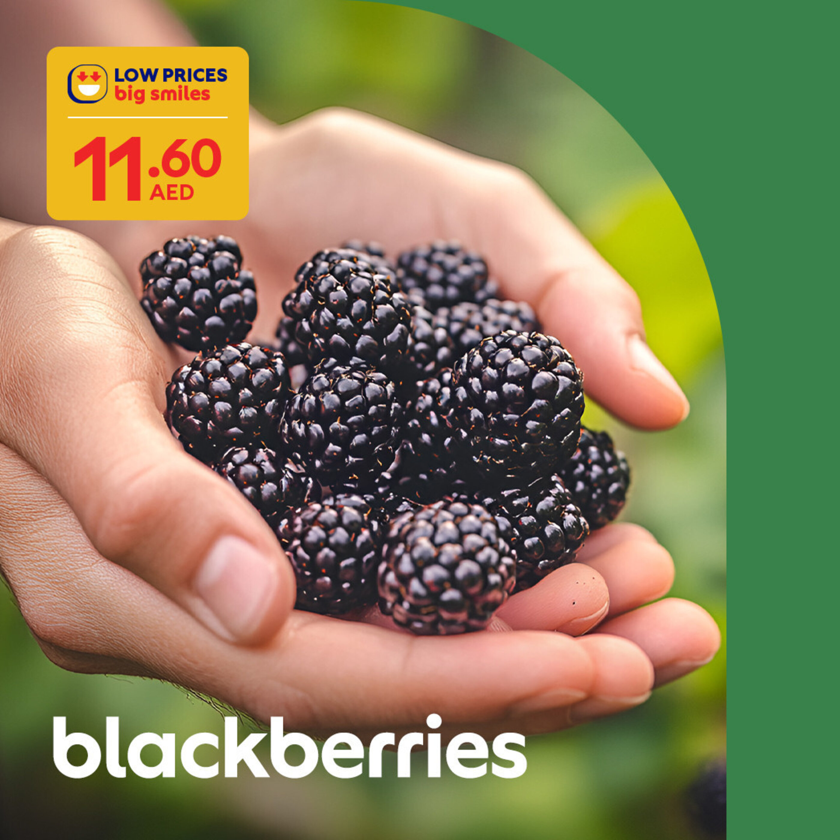 Carrefour catalogue - 21-04-2025