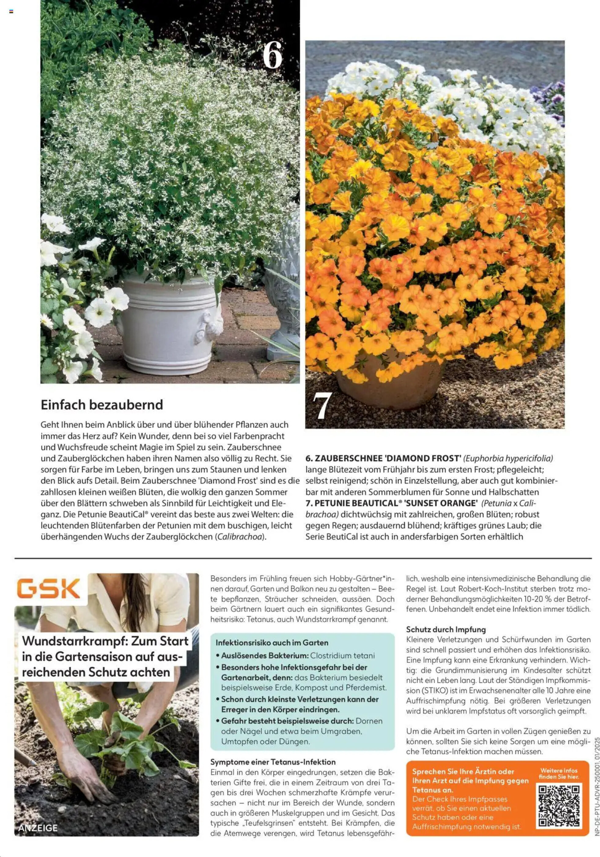 Dehner Flugblatt - 17-04-2025