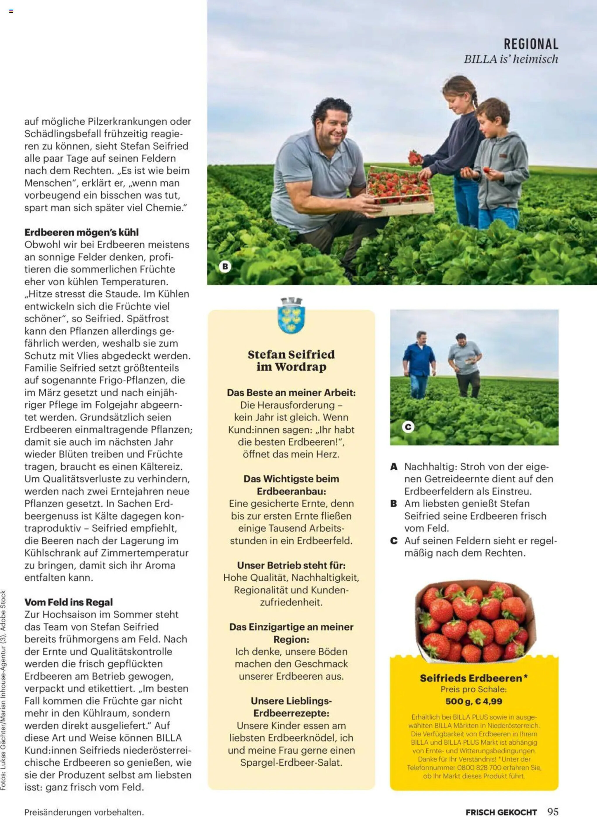 Billa Flugblatt - 01-05-2025