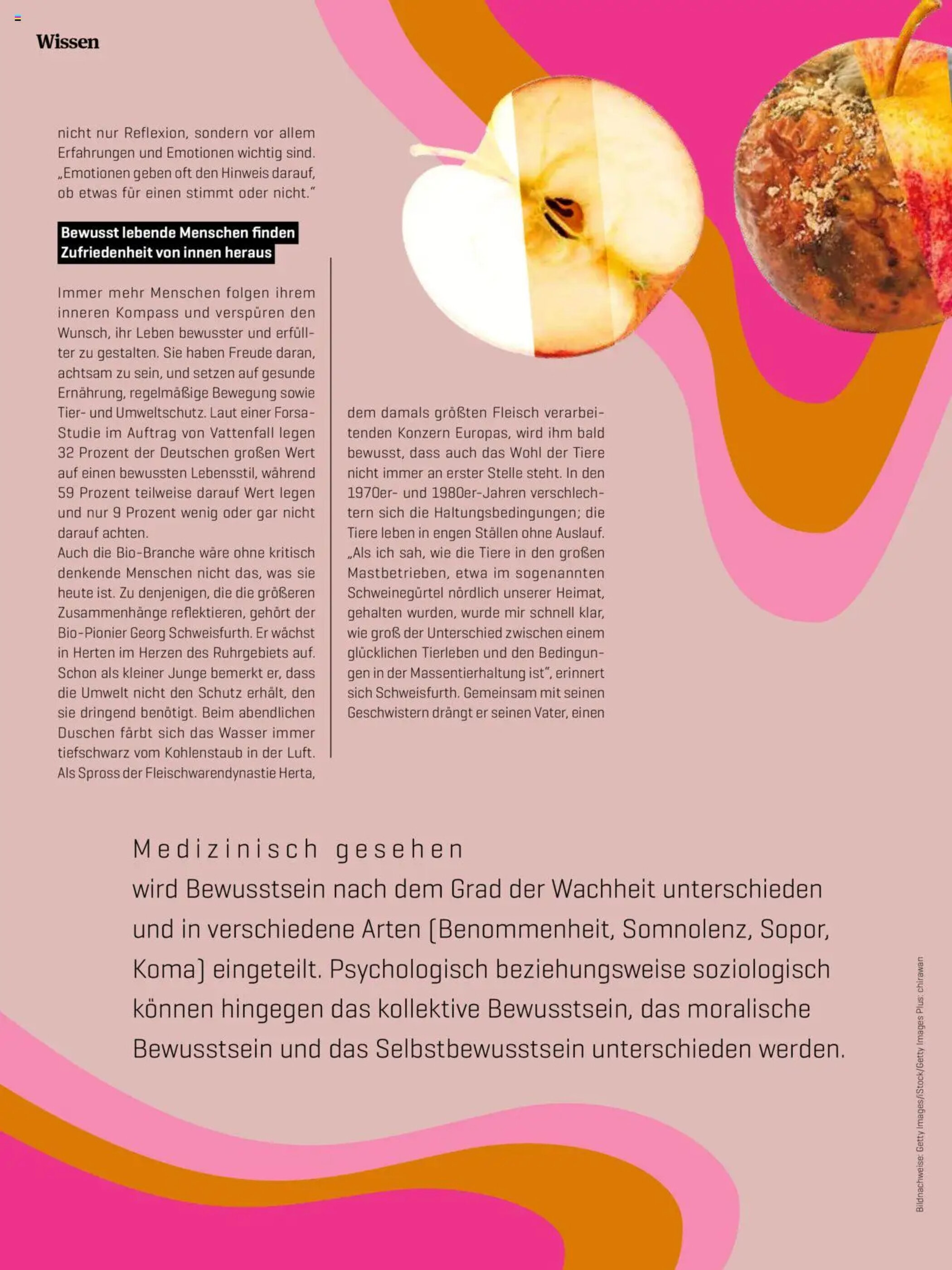 Denn's Biomarkt Flugblatt - 11-02-2025