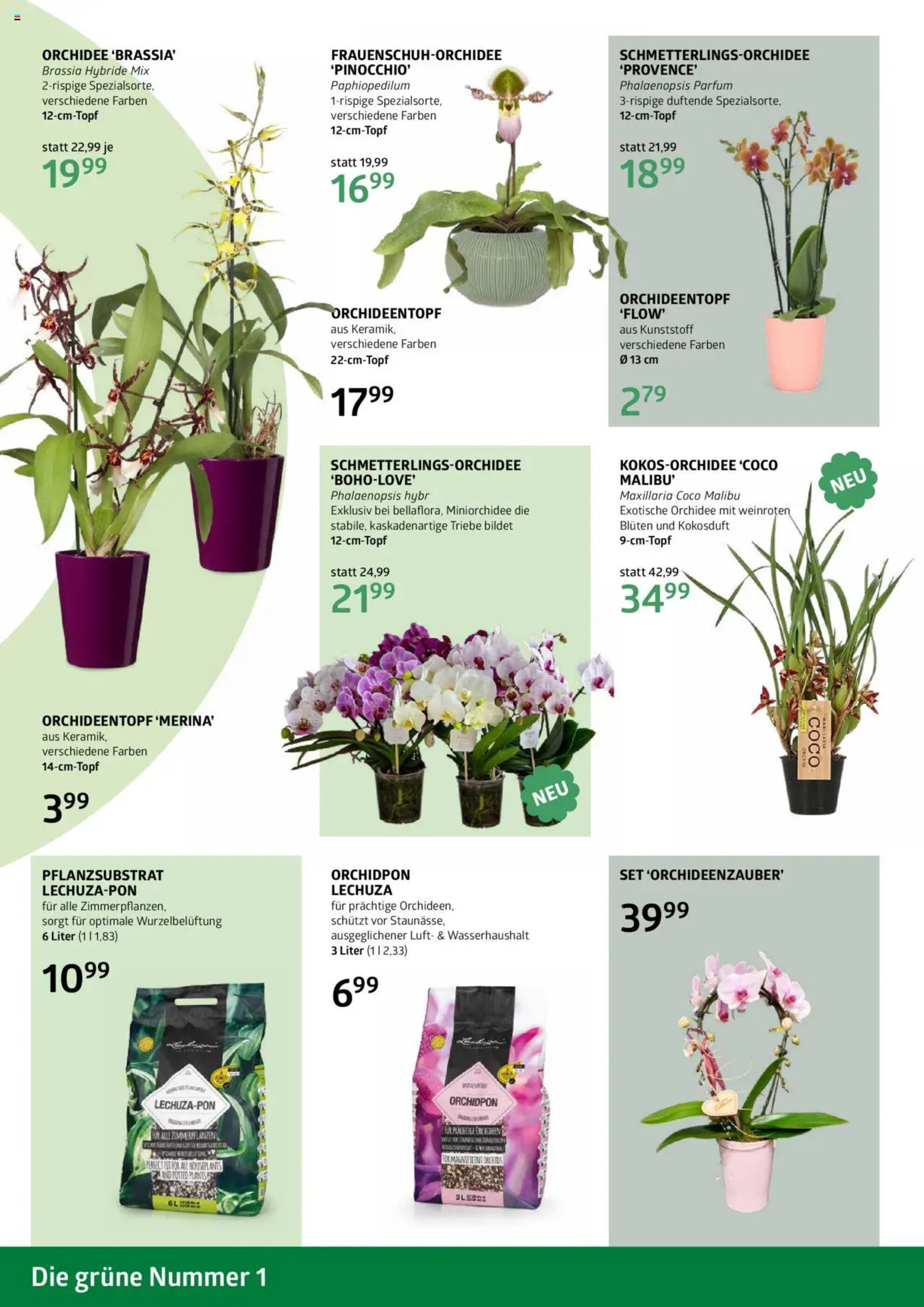 Bellaflora Flugblatt - 02-05-2025