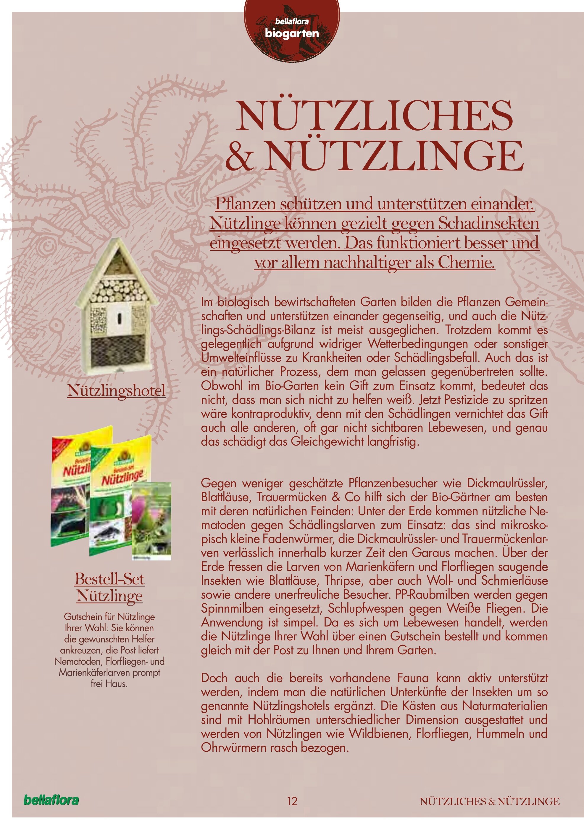 Bellaflora Flugblatt - 03-01-2025