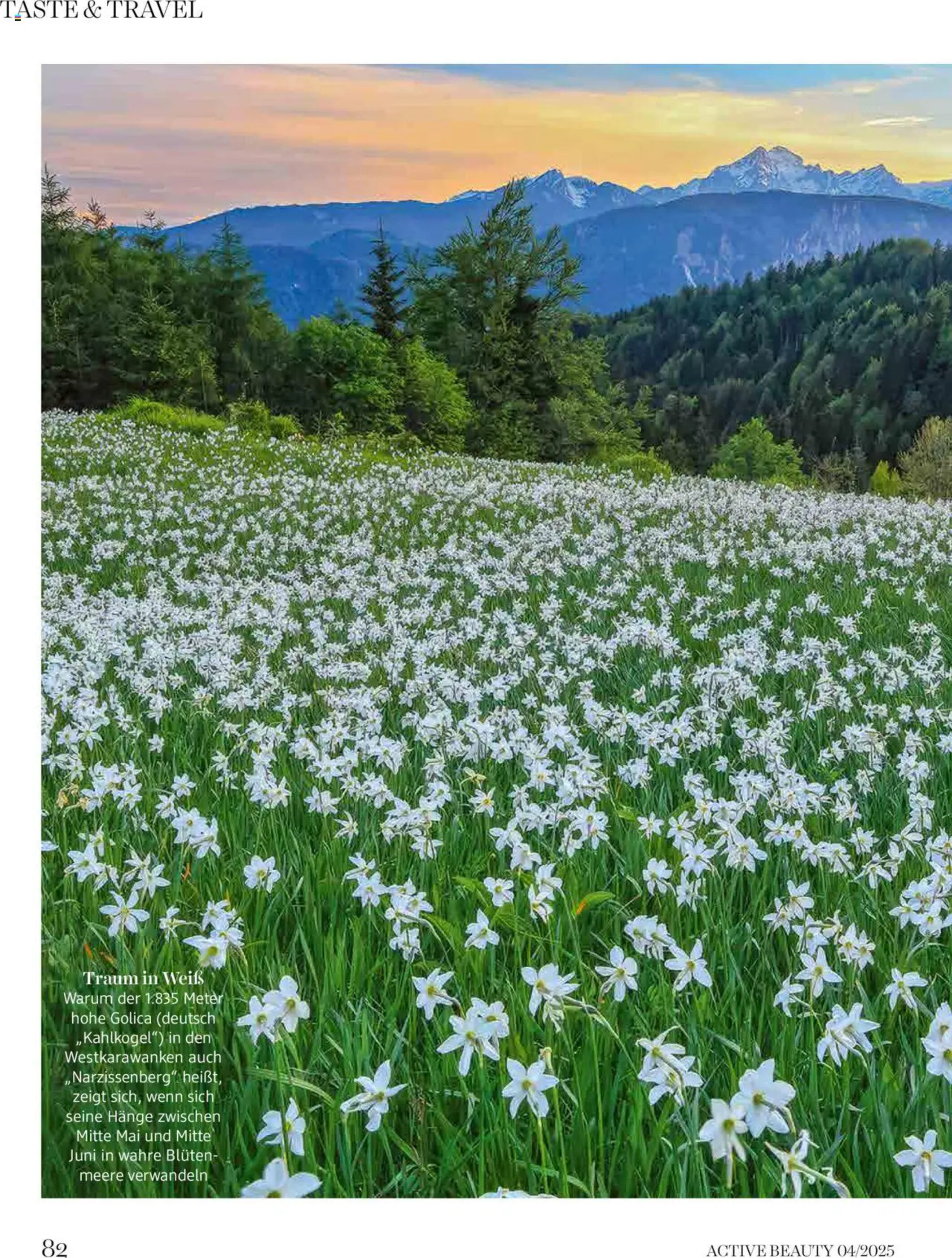 dm Flugblatt - 03-04-2025