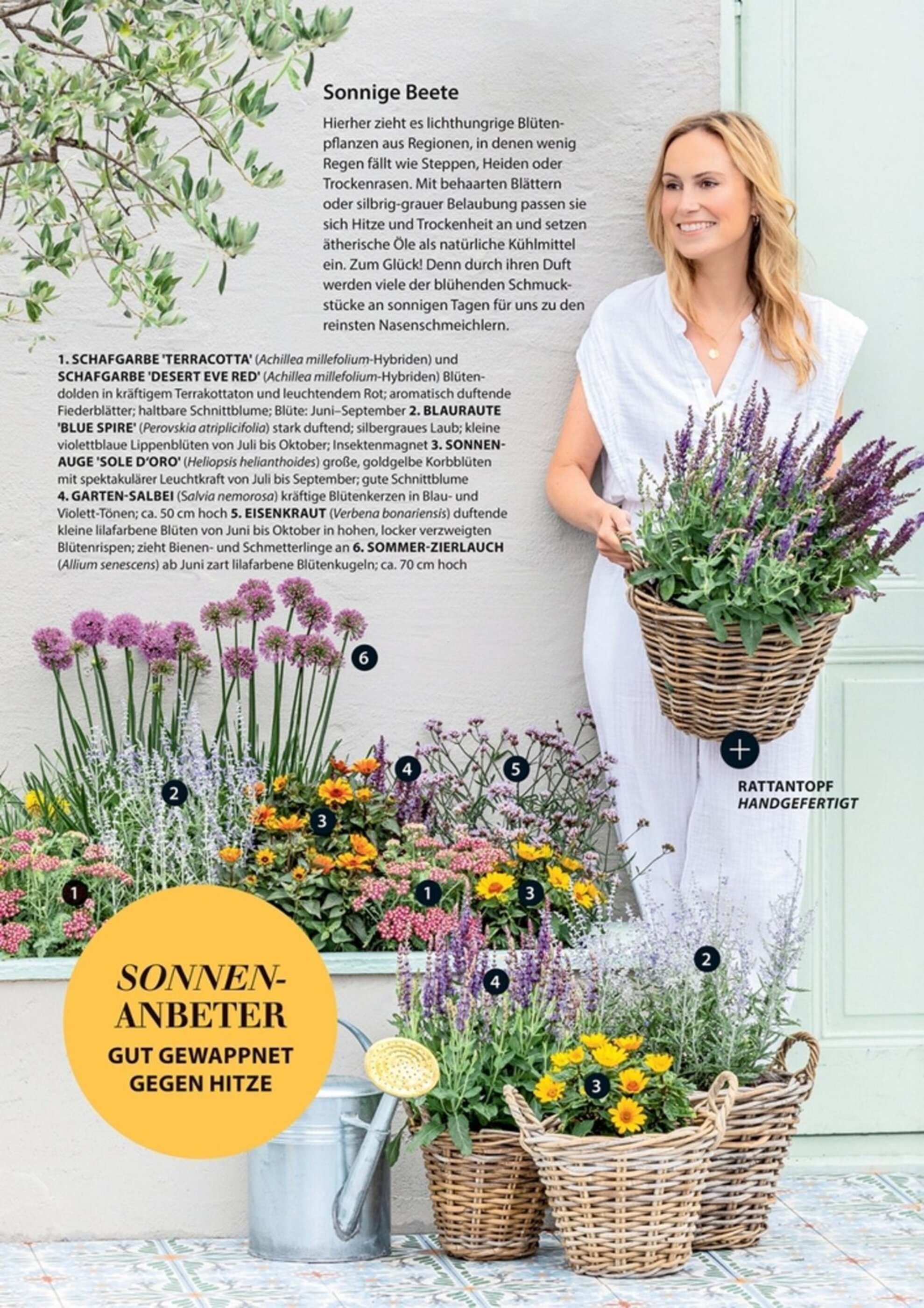 Dehner Flugblatt - 24-04-2025