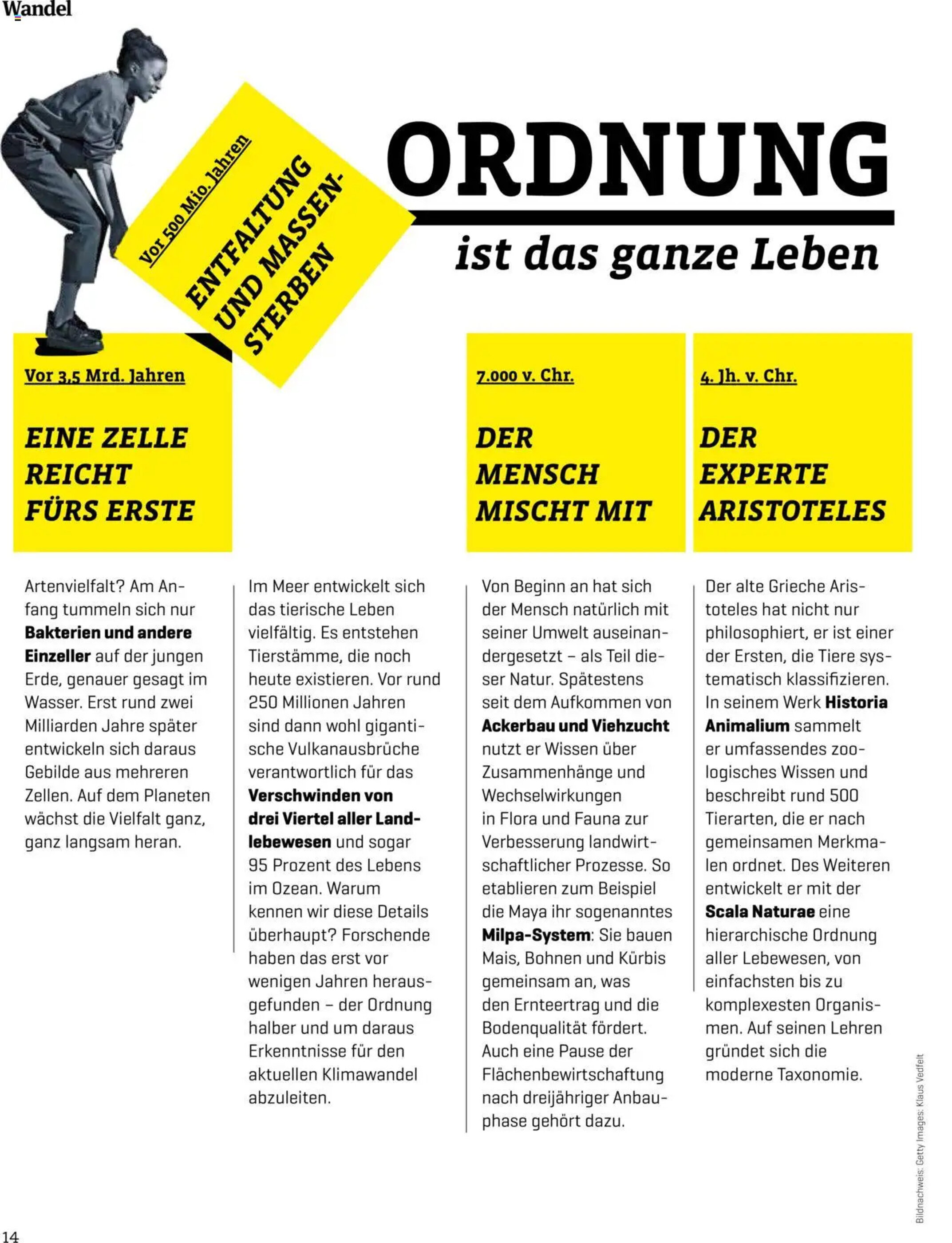 Denn's Biomarkt Flugblatt woche 17 - 21-04-2025