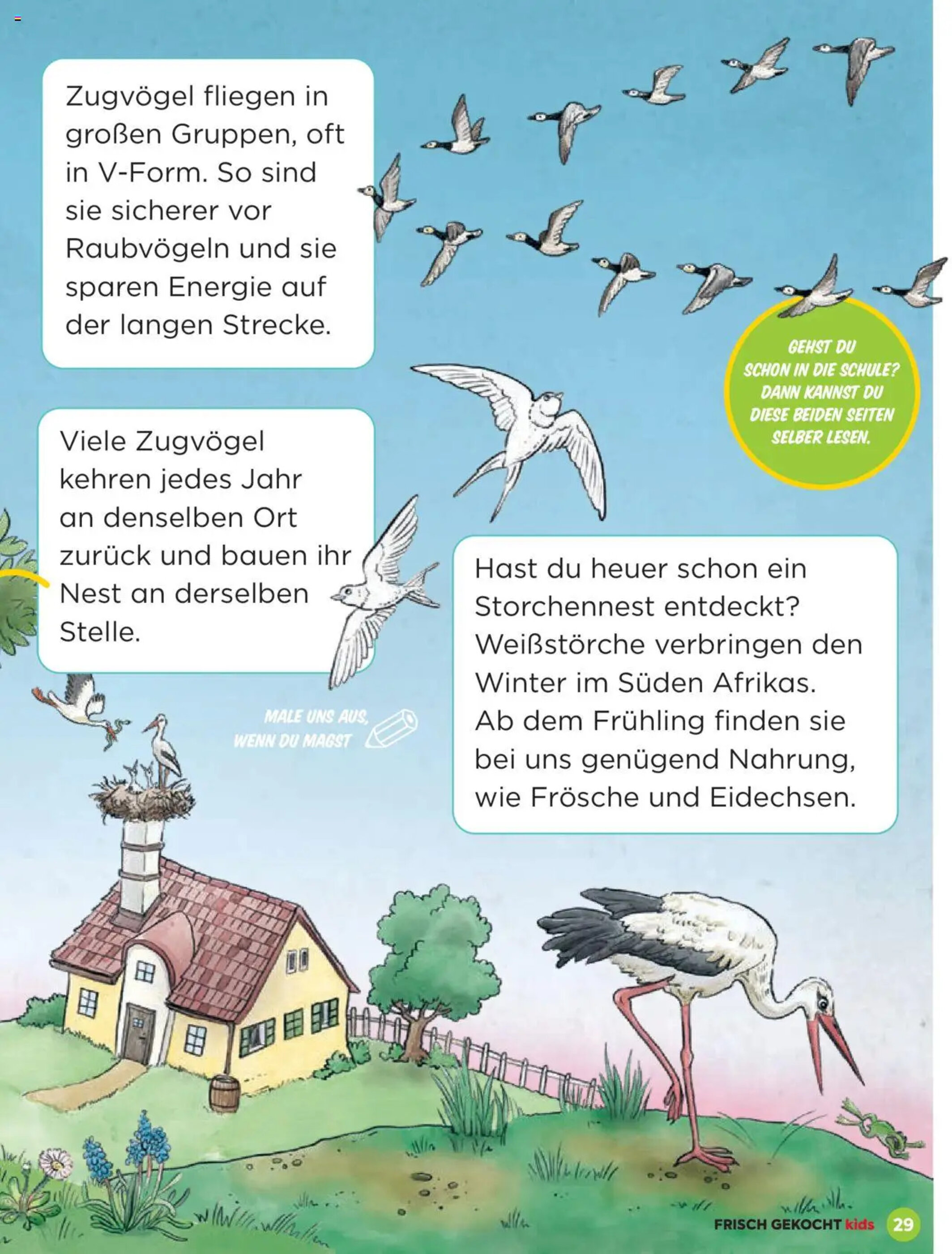 Billa Flugblatt - 27-02-2025