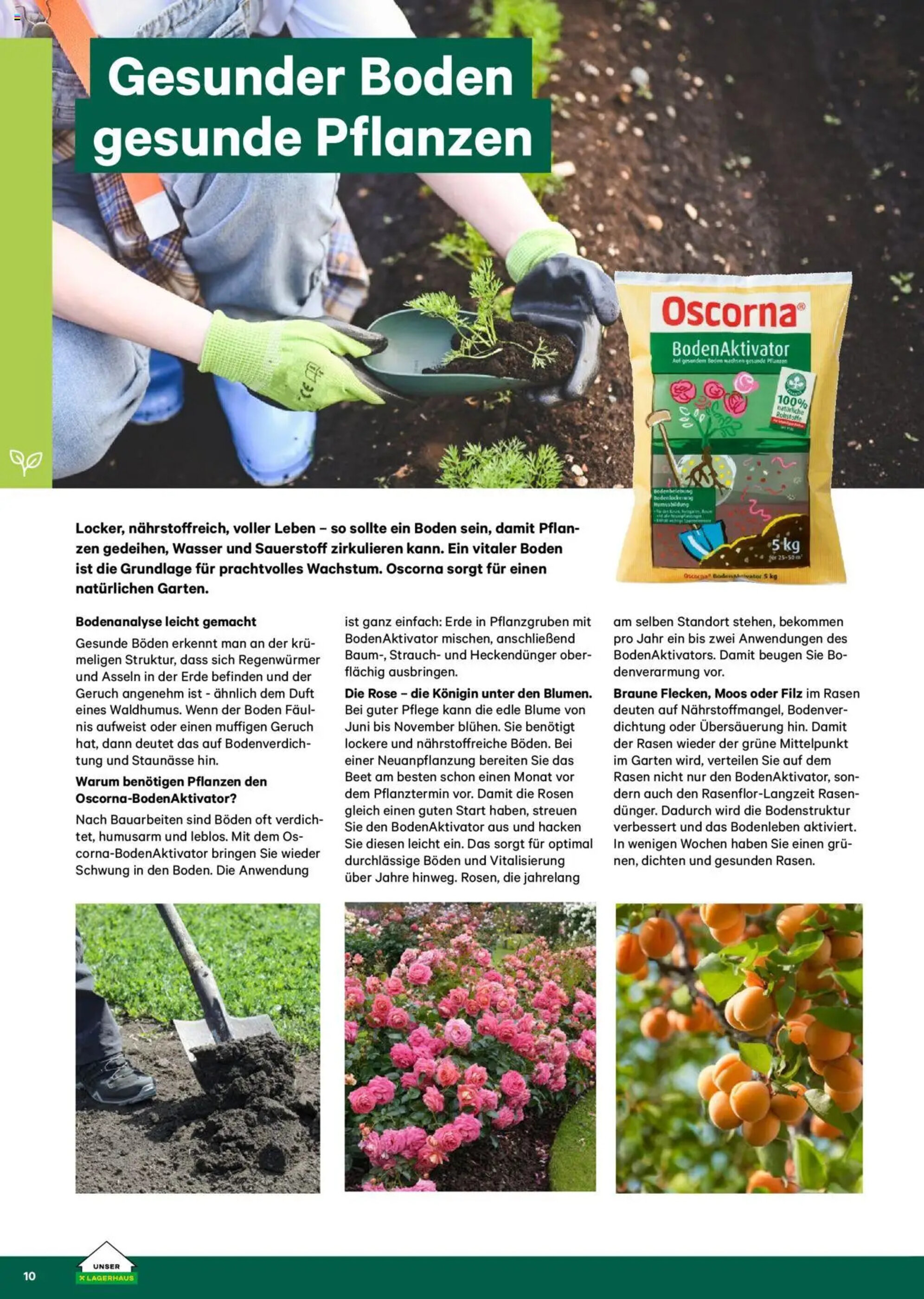 Lagerhaus Flugblatt - 24-02-2025