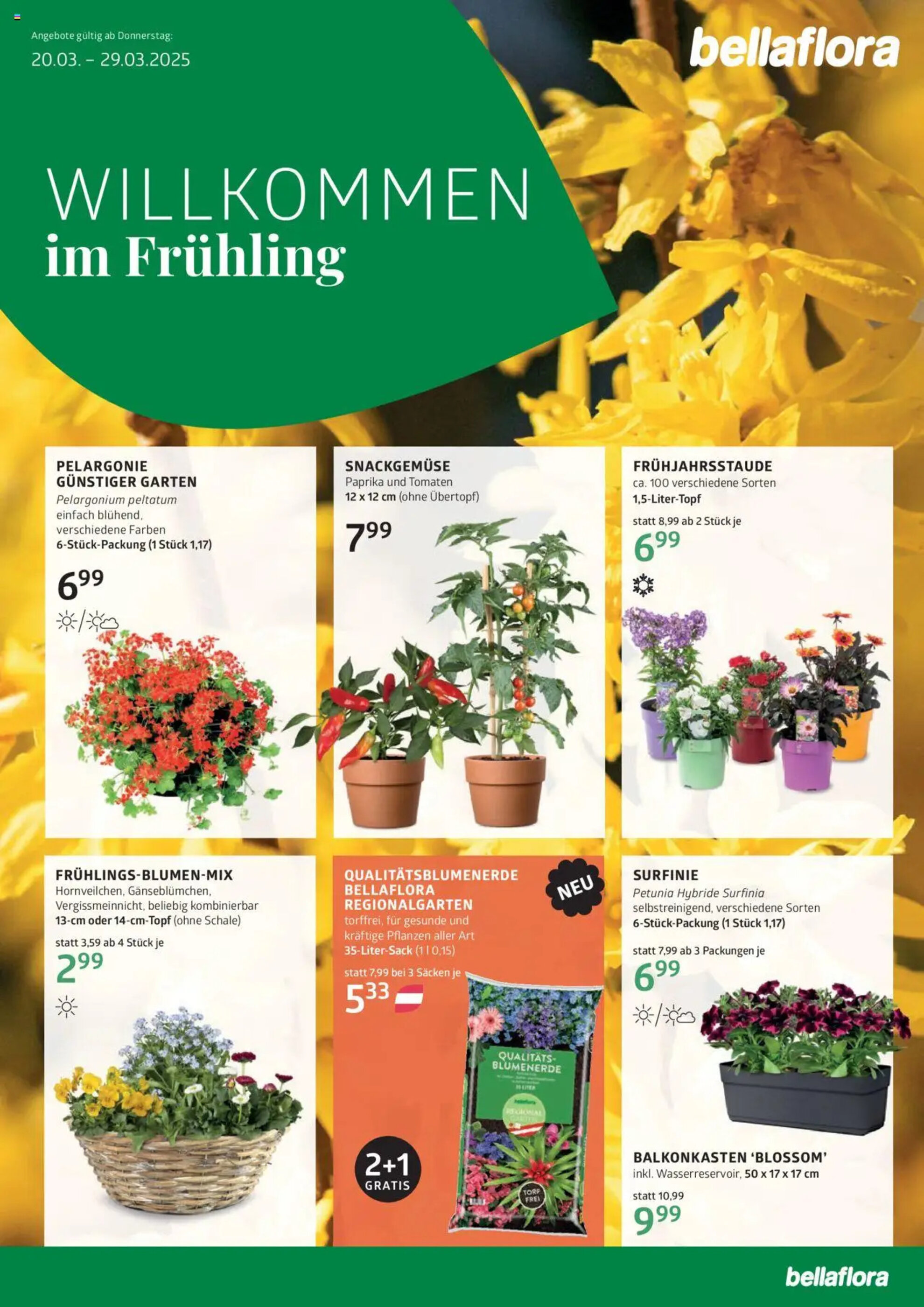 Bellaflora Flugblatt - 20-03-2025