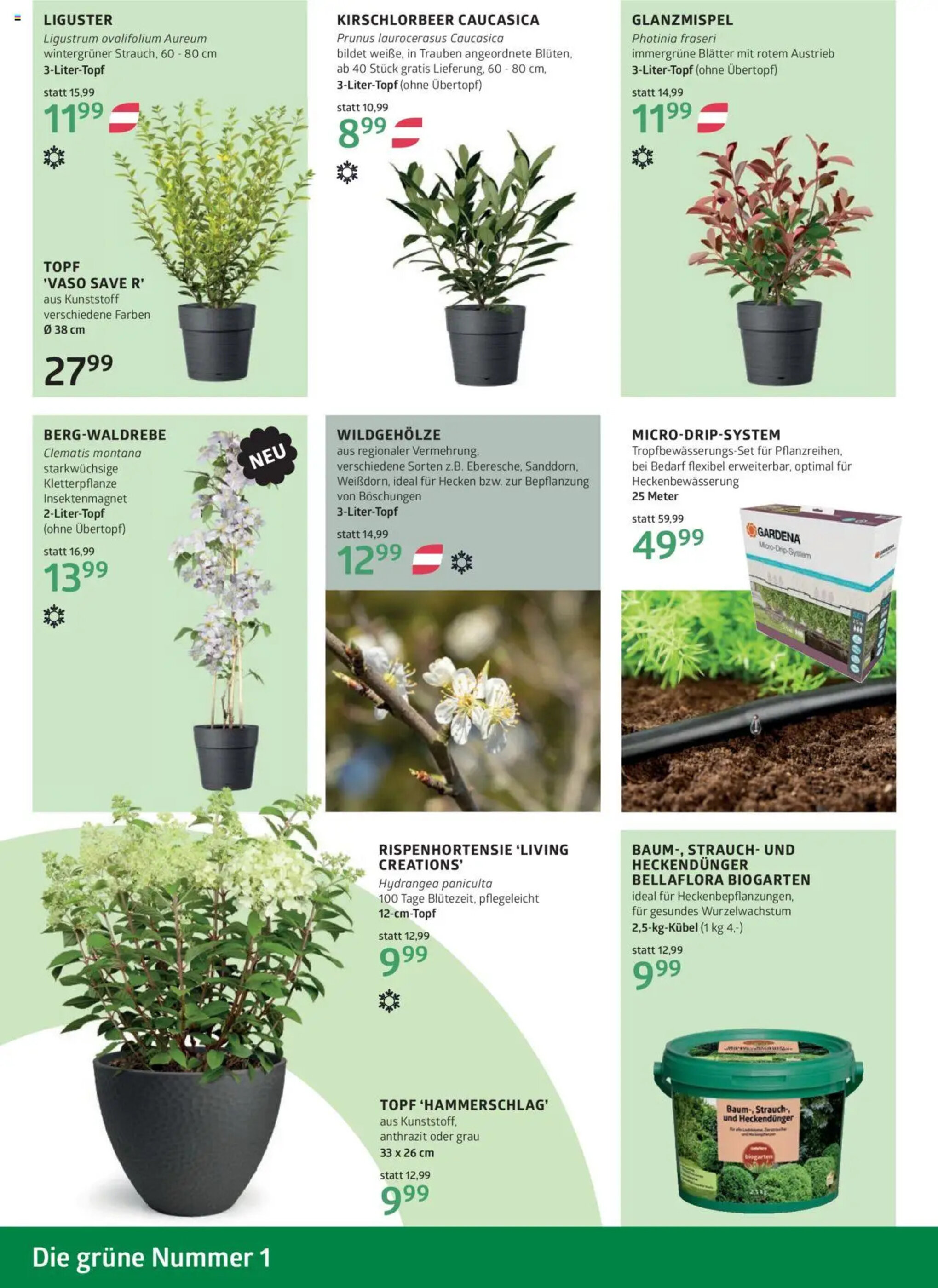 Bellaflora Flugblatt - 20-03-2025
