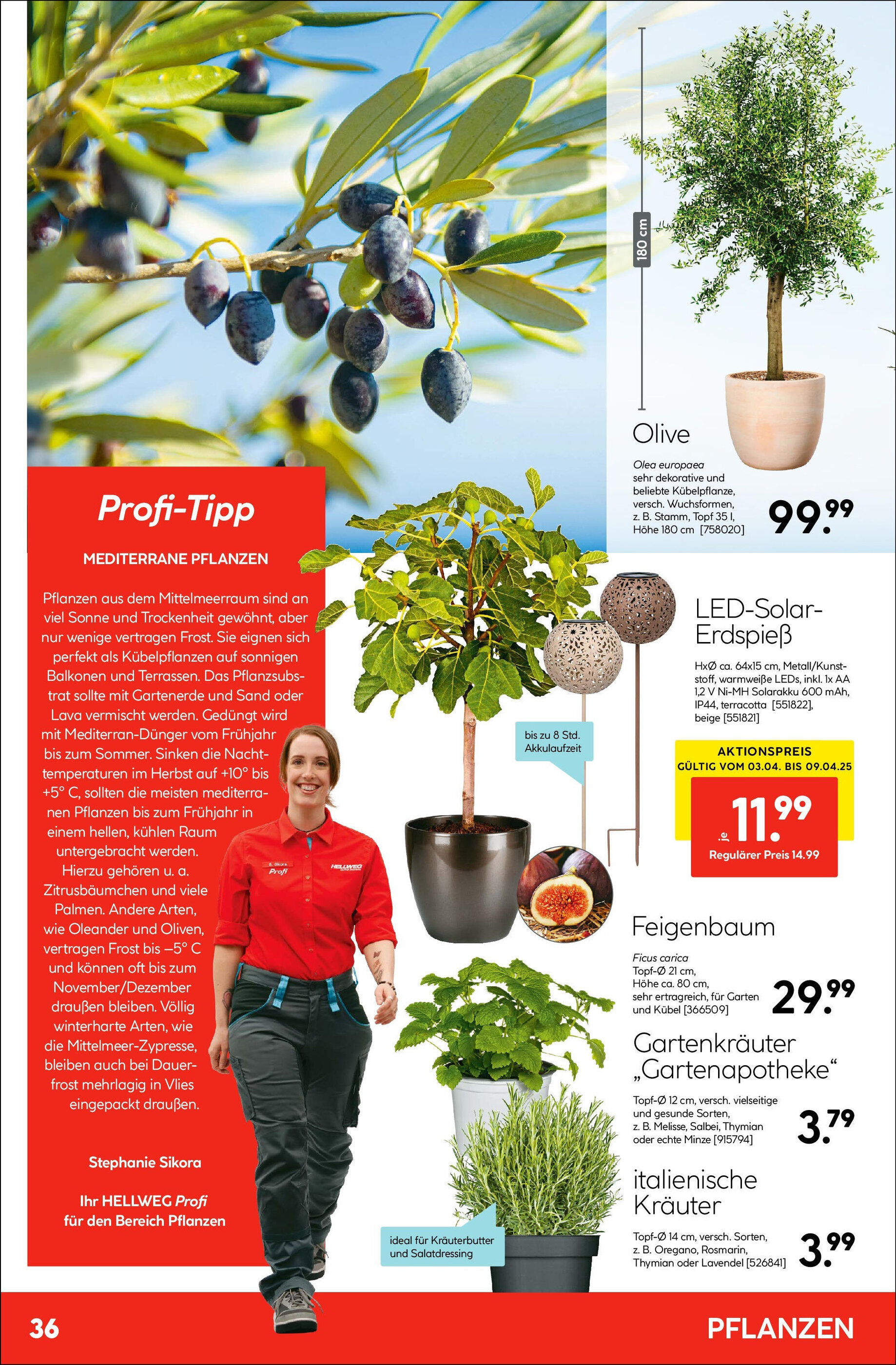 Hellweg Flugblatt woche 14 - 03-04-2025
