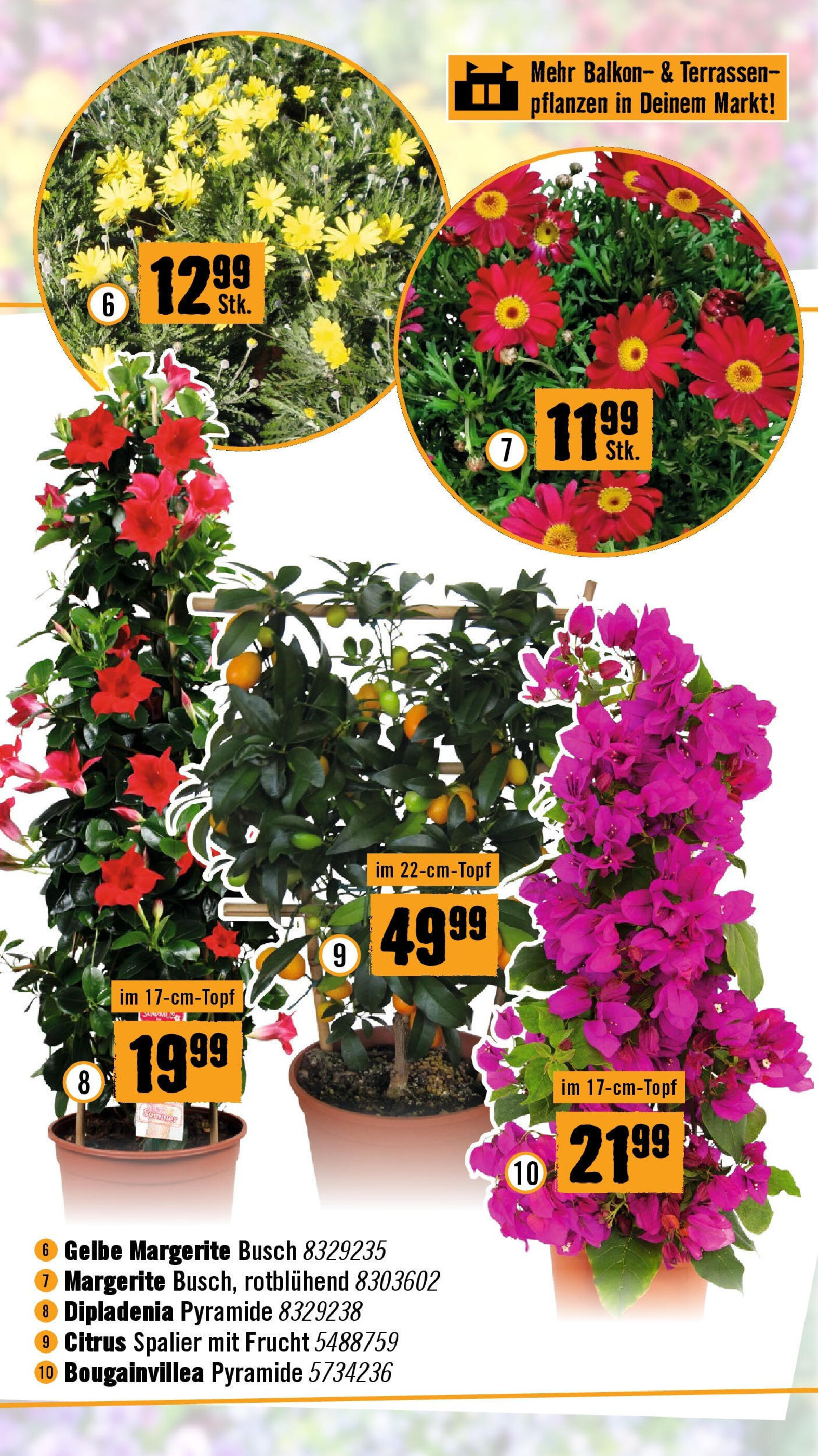 Hornbach Flugblatt - 16-04-2025