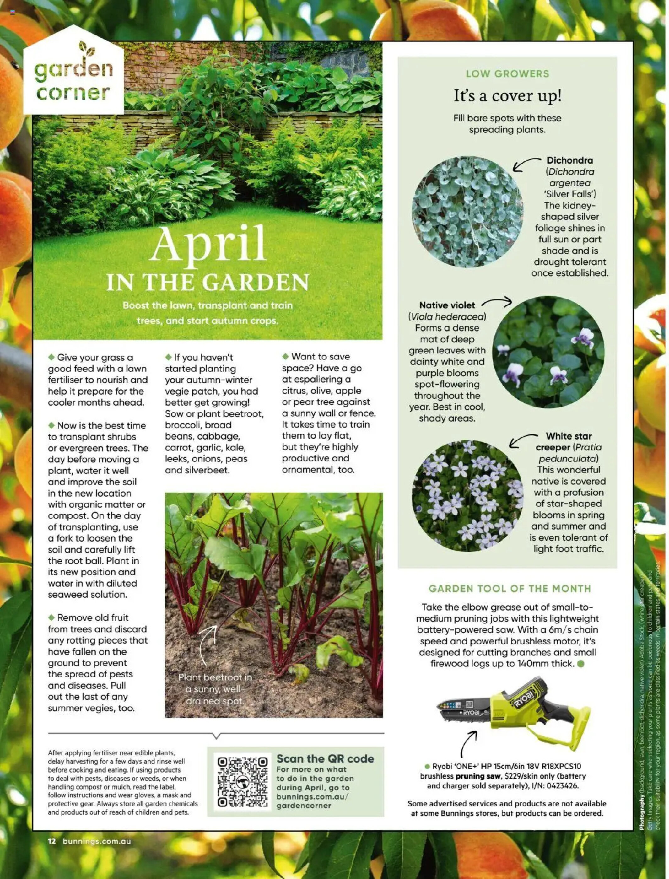 Bunnings catalogue - 01-04-2025