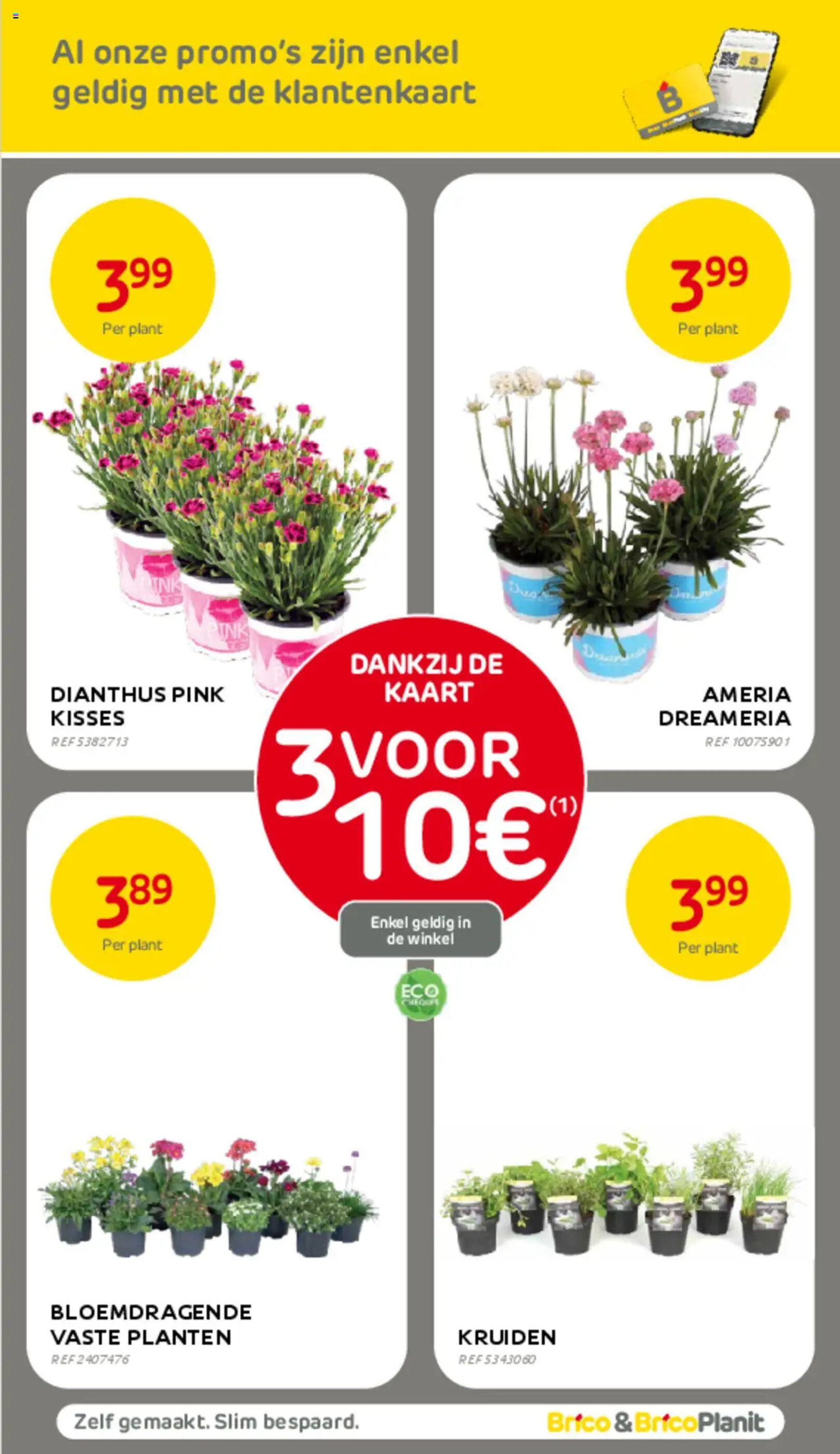 BricoPlanit folder - 12-03-2025
