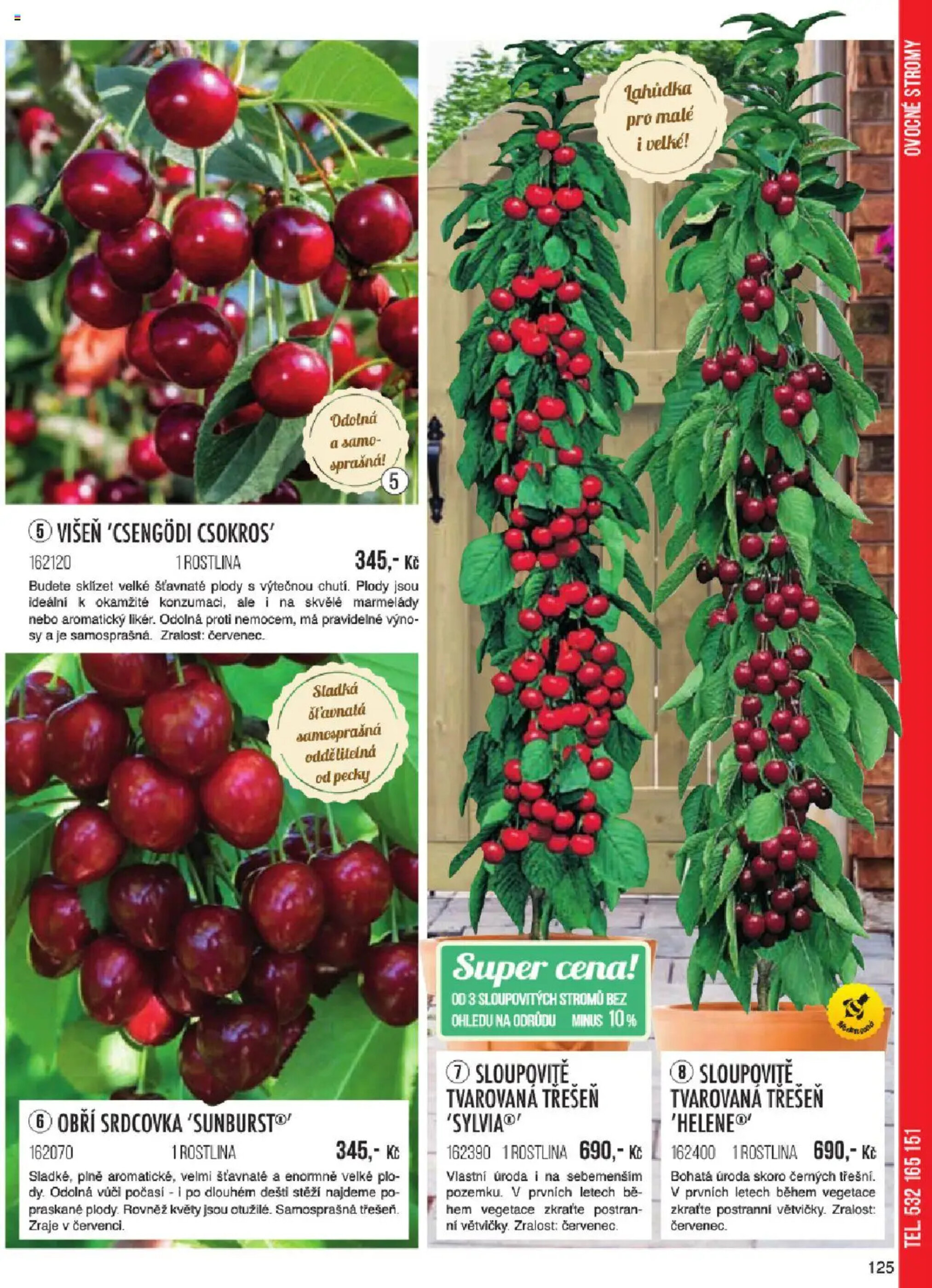 Starkl leták - 06-01-2025