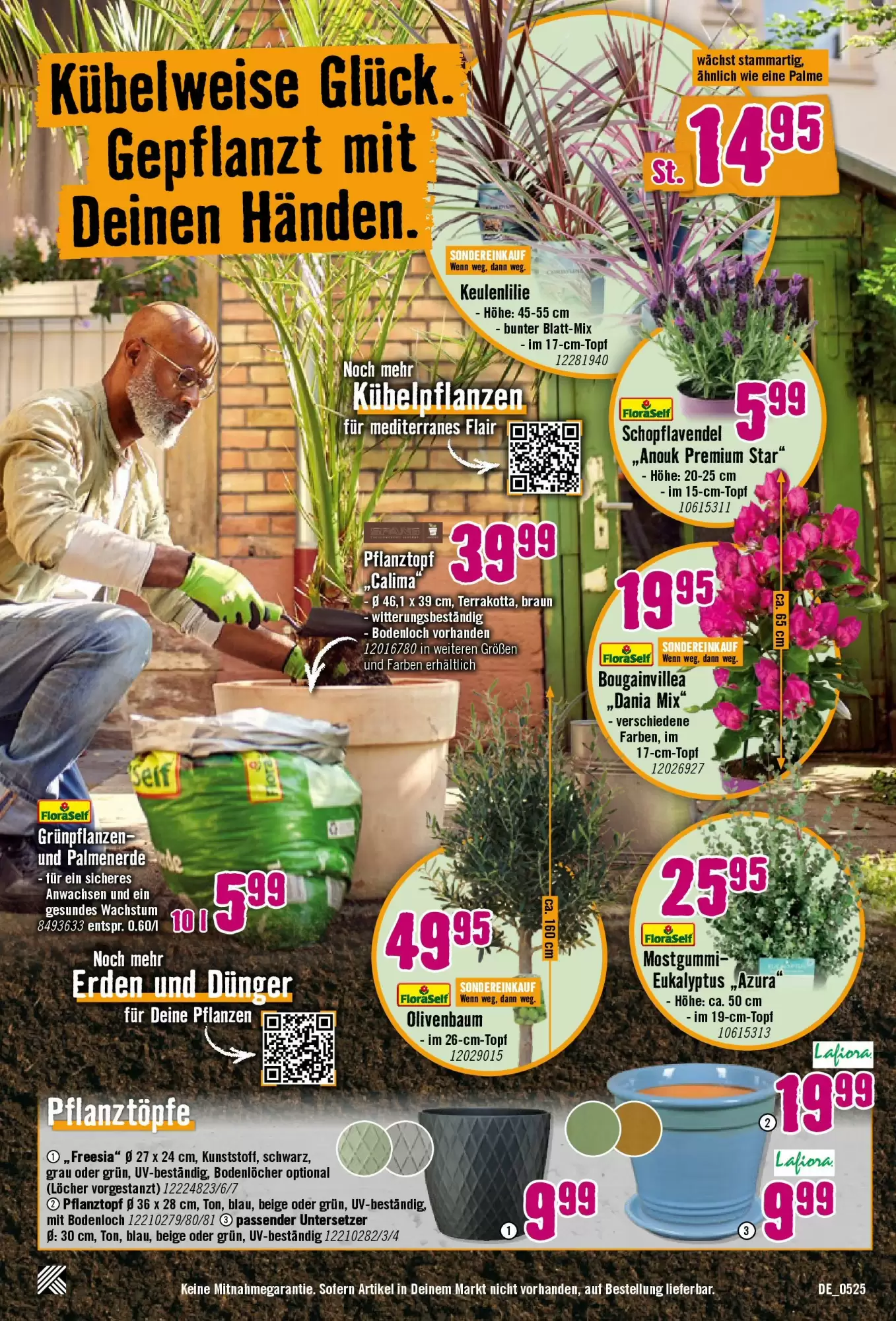 Hornbach Prospekt - 07-05-2025 ( ist gültig von 07-05-2025 bis 04-06-2025) | 11
