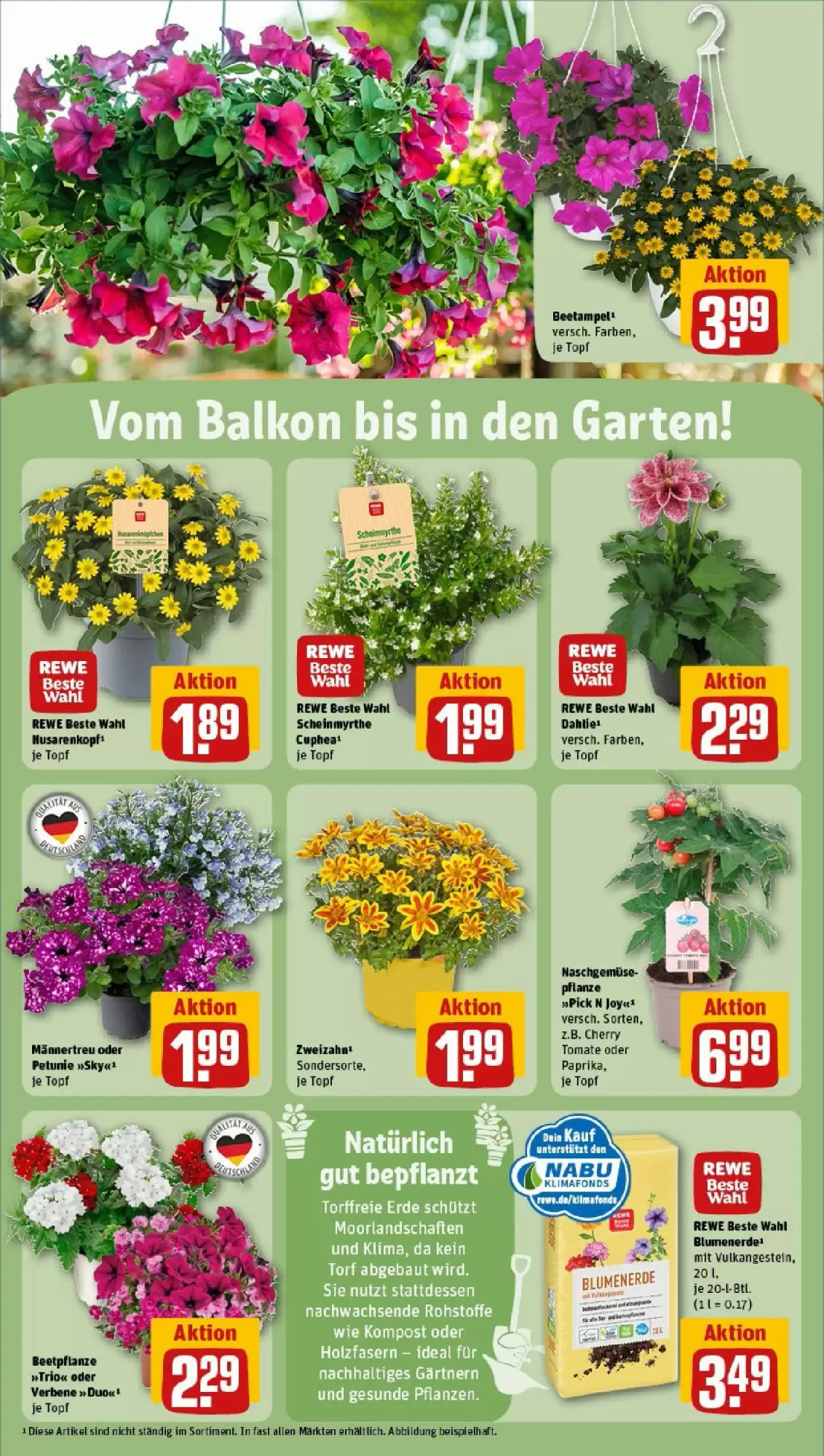 REWE Prospekt woche 21 - 19-05-2025 ( ist gültig von 19-05-2025 bis 25-05-2025) | 27