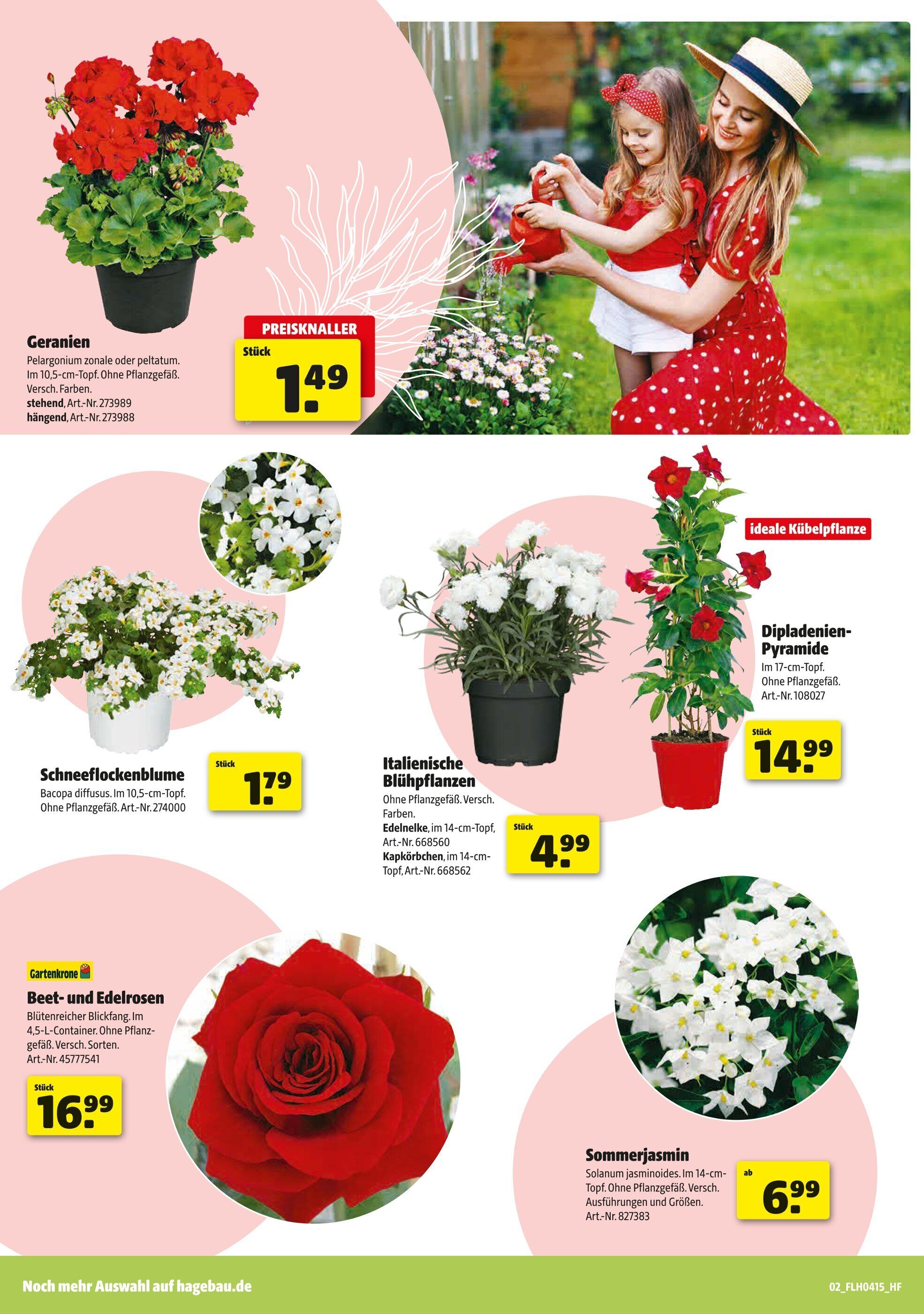 Hagebau Prospekt woche 14 - 05-04-2025