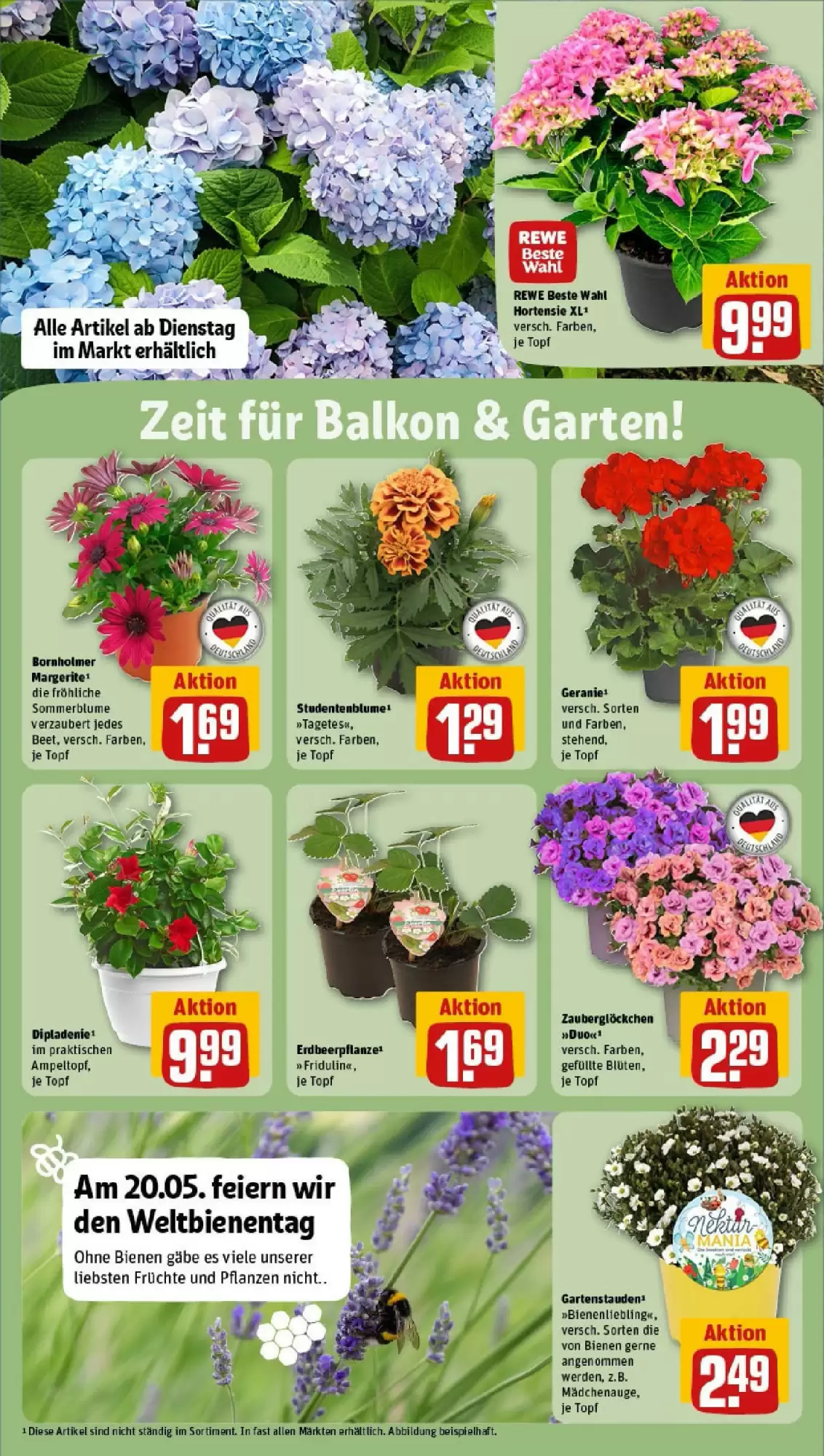 REWE Prospekt woche 21 - 19-05-2025 ( ist gültig von 19-05-2025 bis 25-05-2025) | 26