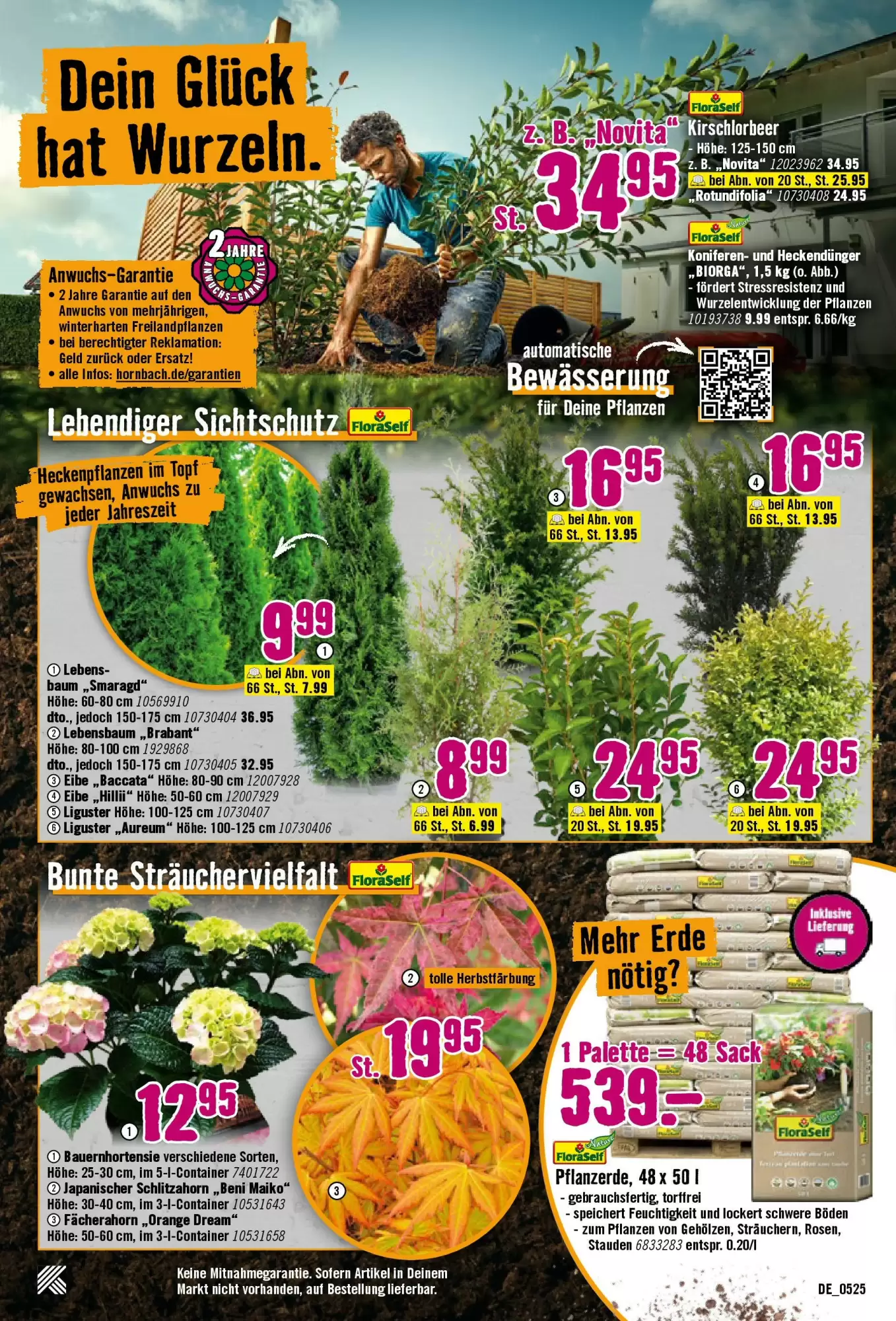 Hornbach Prospekt - 07-05-2025 ( ist gültig von 07-05-2025 bis 04-06-2025) | 17