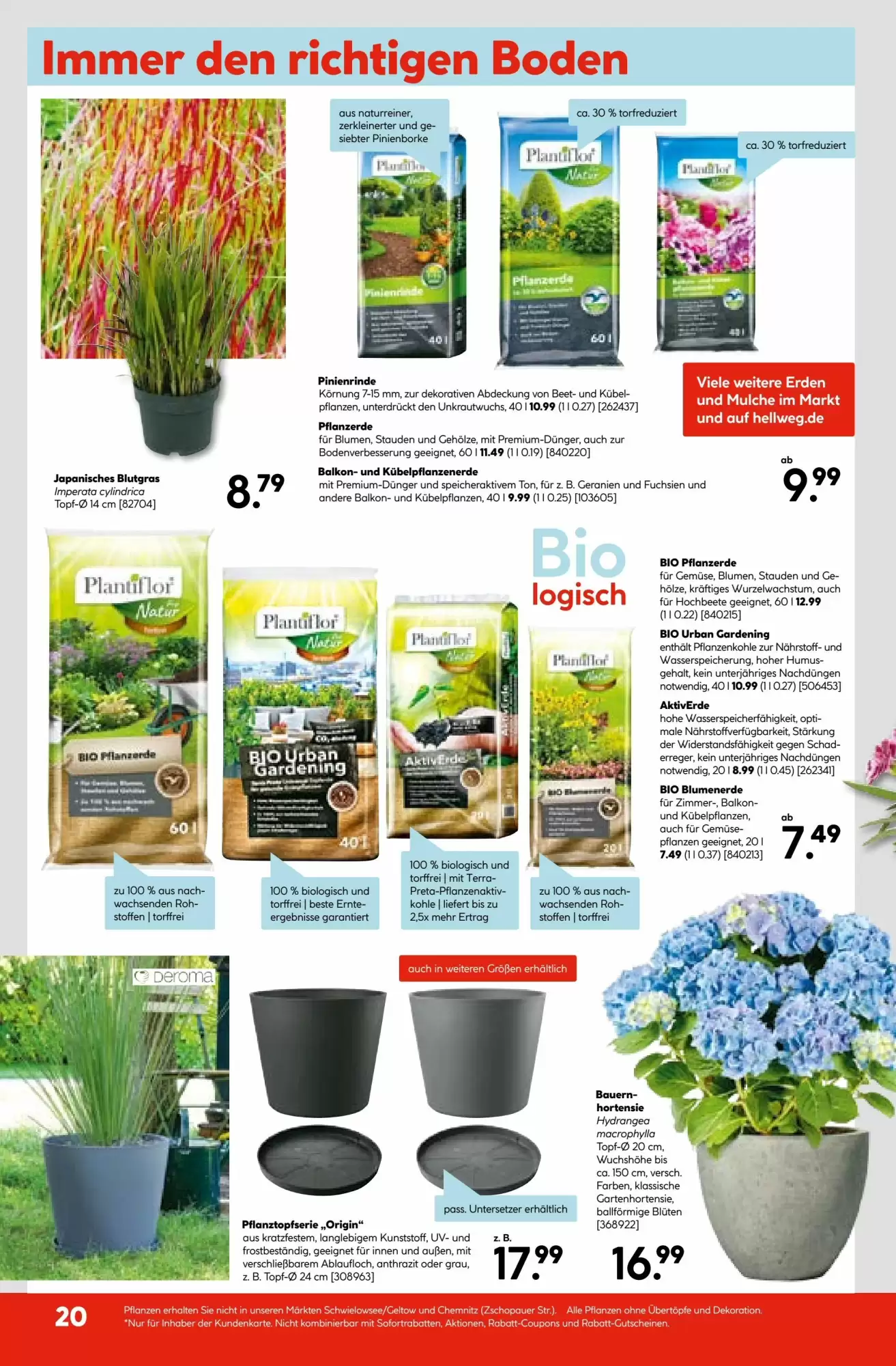Hellweg Prospekt woche 19 - 05-05-2025
