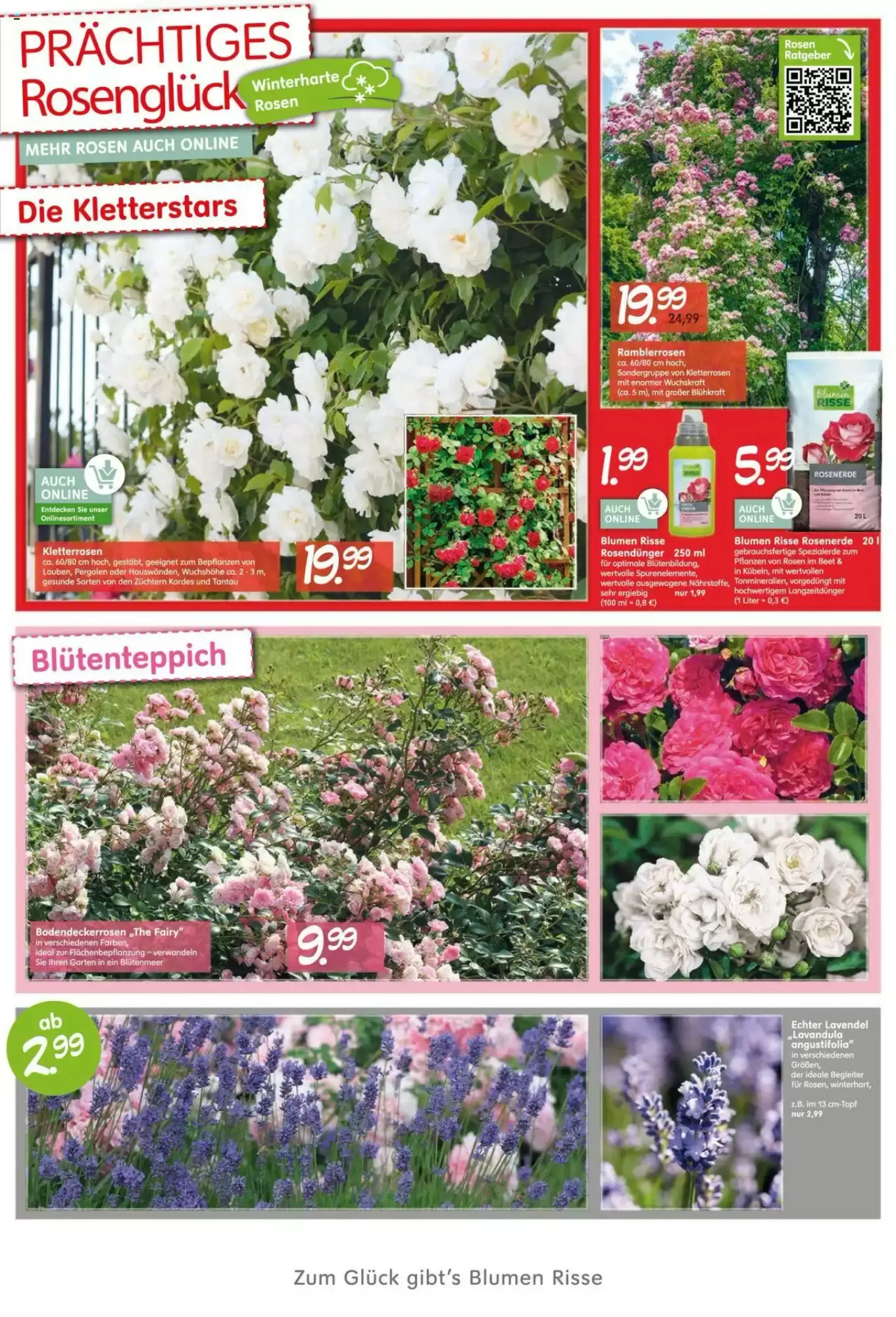 Blumen Risse Prospekt - 28-05-2025 ( ist gültig von 28-05-2025 bis 09-06-2025) | 2