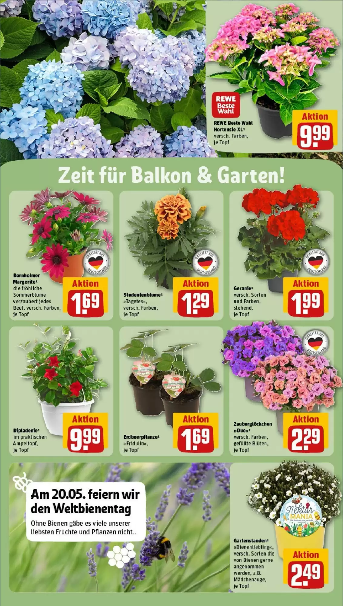 REWE Prospekt woche 21 - 19-05-2025 ( ist gültig von 19-05-2025 bis 25-05-2025) | 28