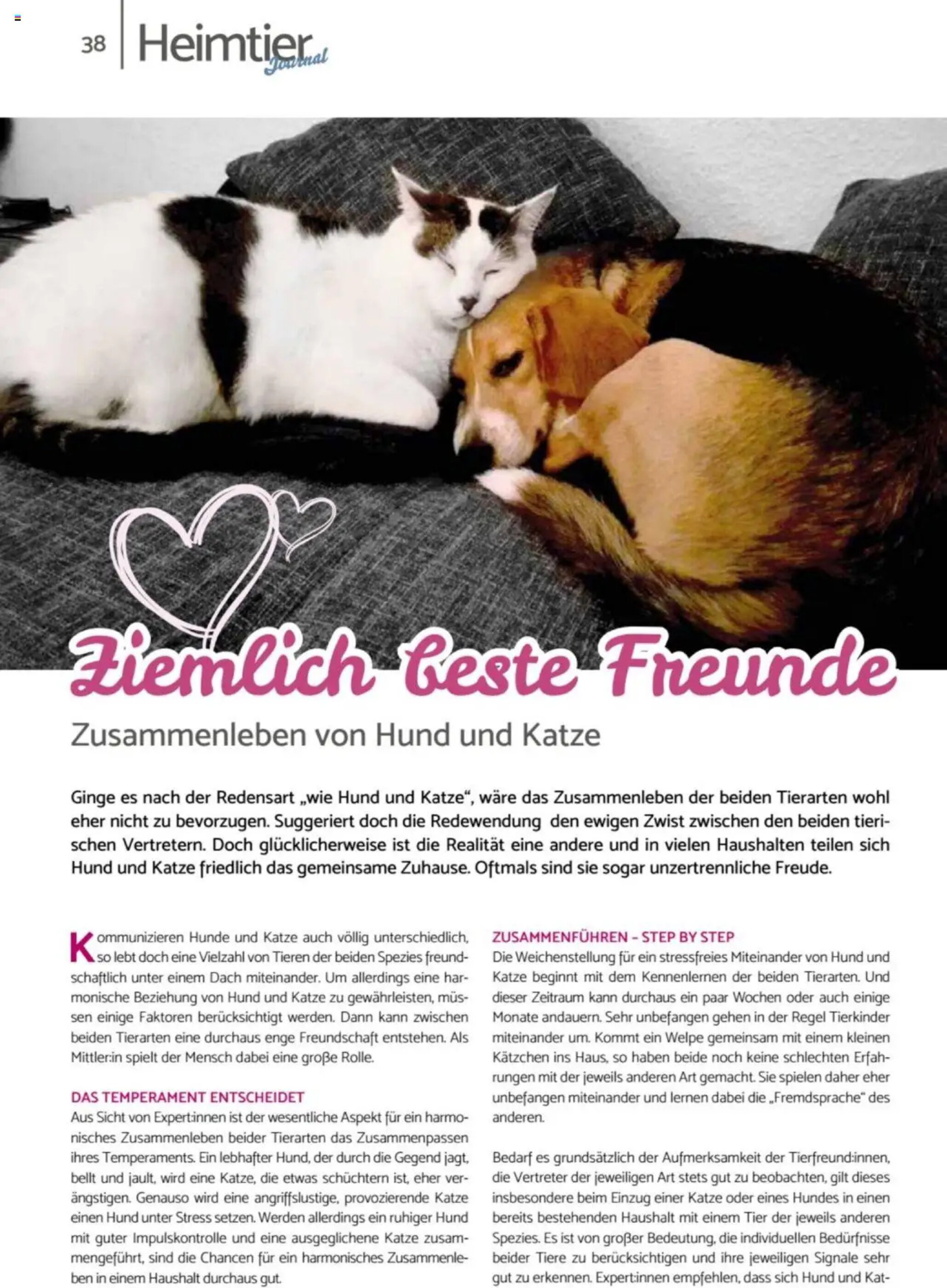 Zookauf Prospekt - 01-02-2025