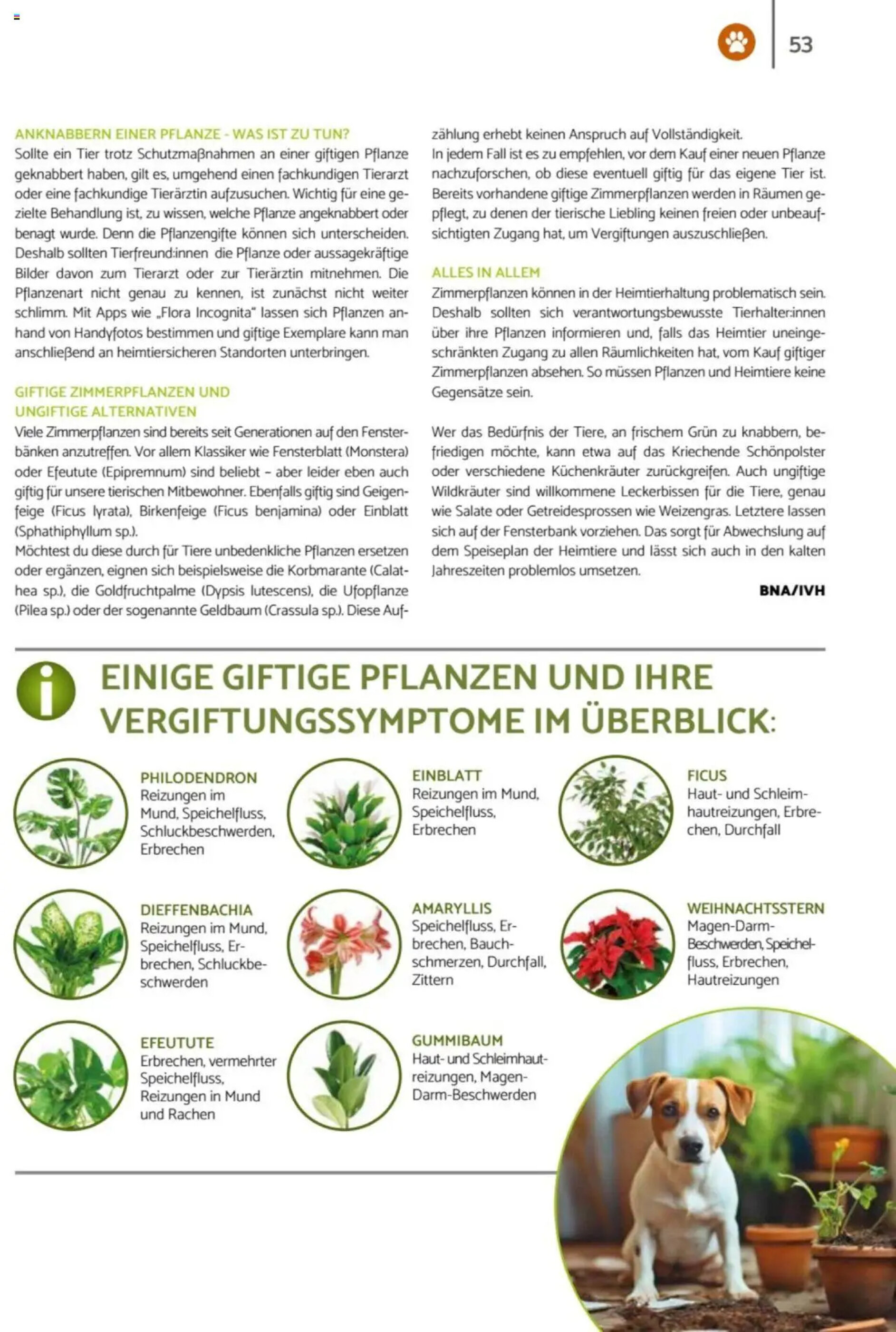Zookauf Prospekt - 01-02-2025