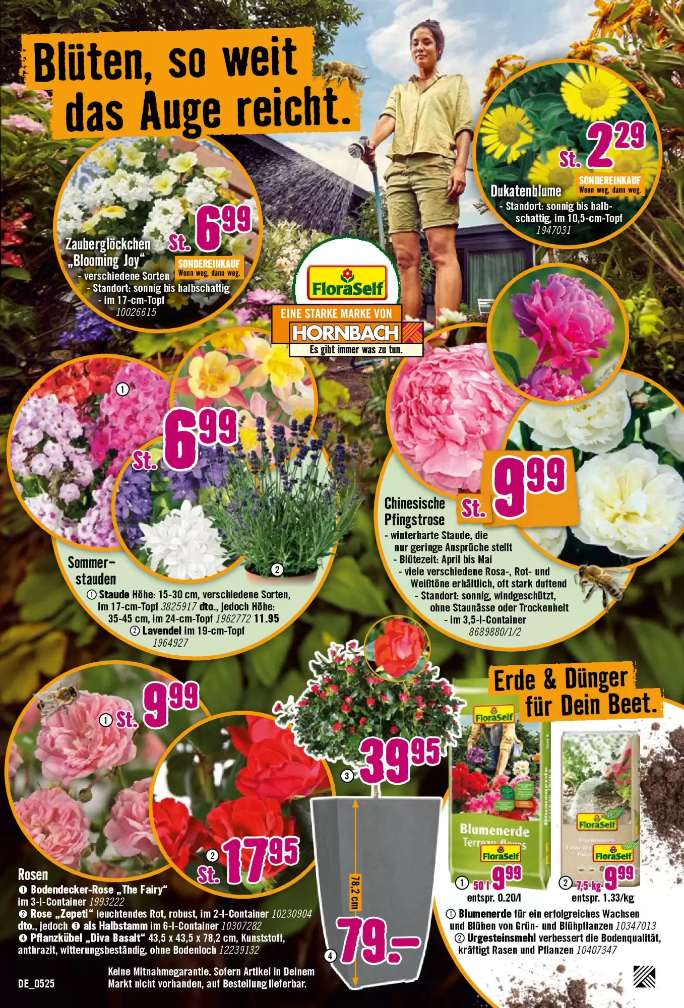 Hornbach Prospekt - 07-05-2025 ( ist gültig von 07-05-2025 bis 04-06-2025) | 12