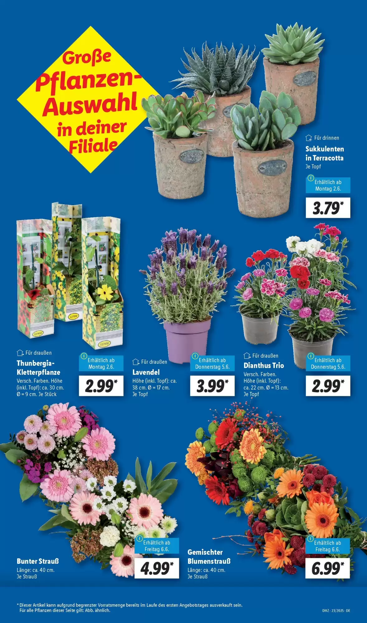 Lidl Prospekt - 01-06-2025 ( ist gültig von 01-06-2025 bis 07-06-2025)