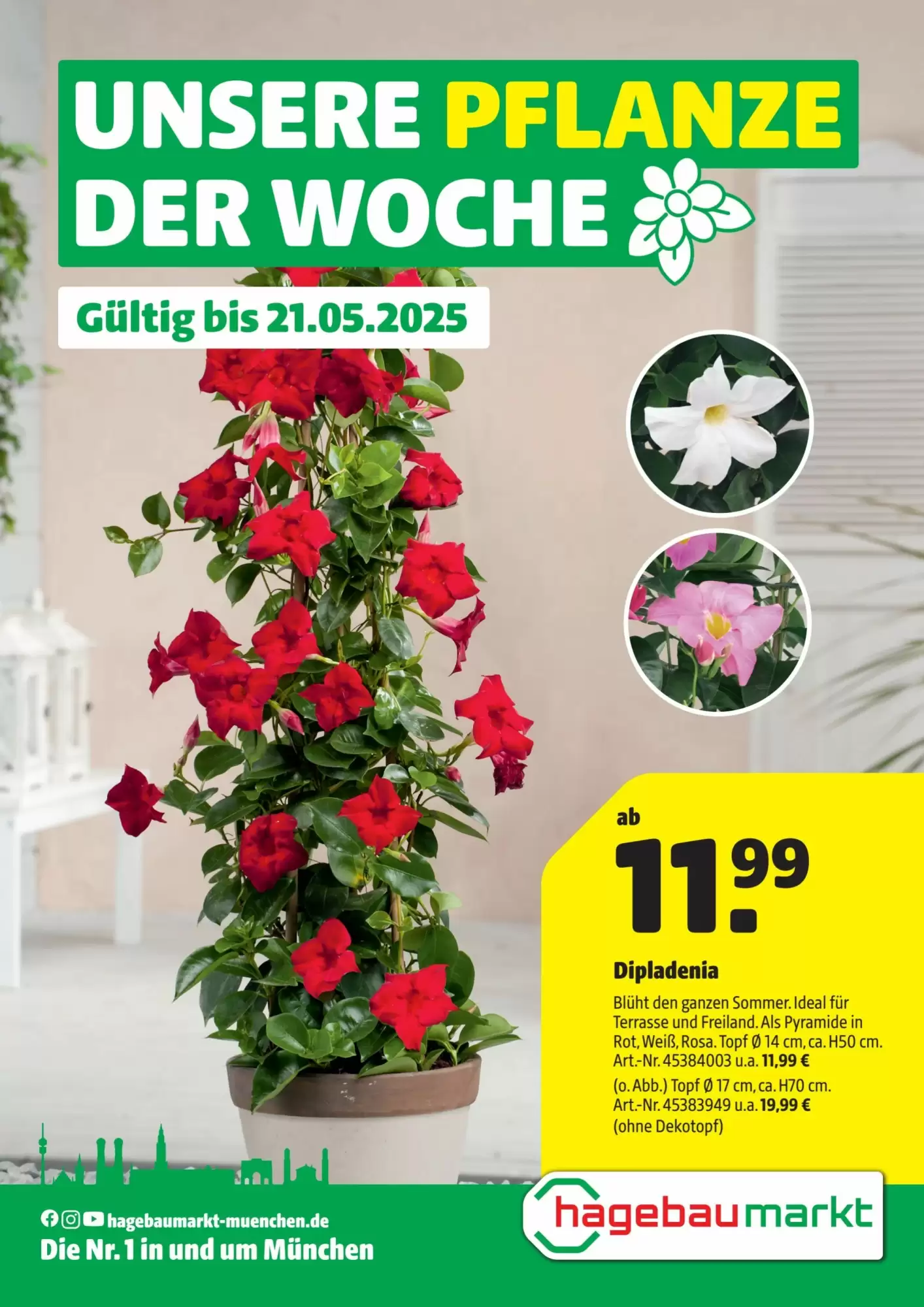 Hagebau Prospekt woche 20 - 15-05-2025 ( ist gültig von 15-05-2025 bis 21-05-2025) | 1