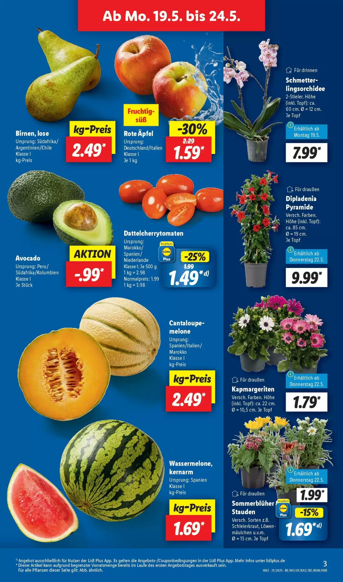 Lidl Prospekt woche 21 - 19-05-2025 ( ist gültig von 19-05-2025 bis 24-05-2025) | 3