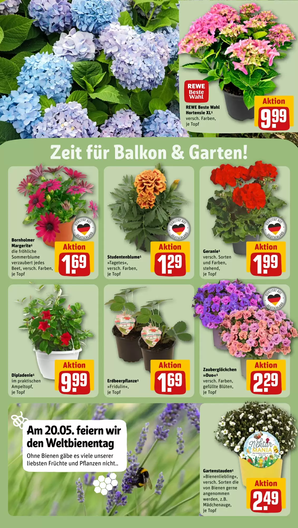 REWE Kaufpark Prospekt woche 21 - 19-05-2025 ( ist gültig von 19-05-2025 bis 25-05-2025) | 28