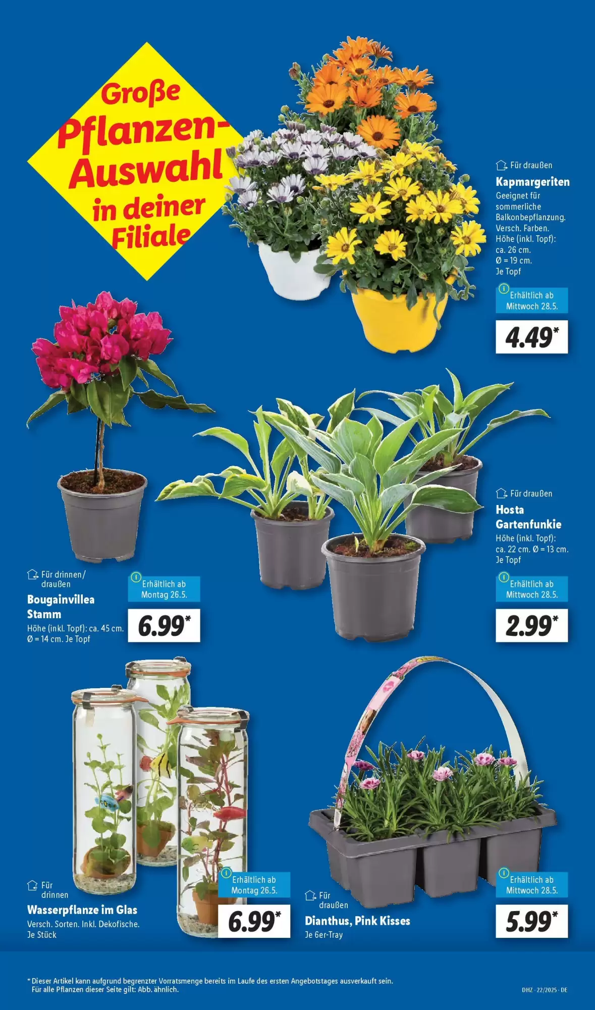 Lidl Prospekt woche 22 - 26-05-2025 ( ist gültig von 26-05-2025 bis 31-05-2025) | 7