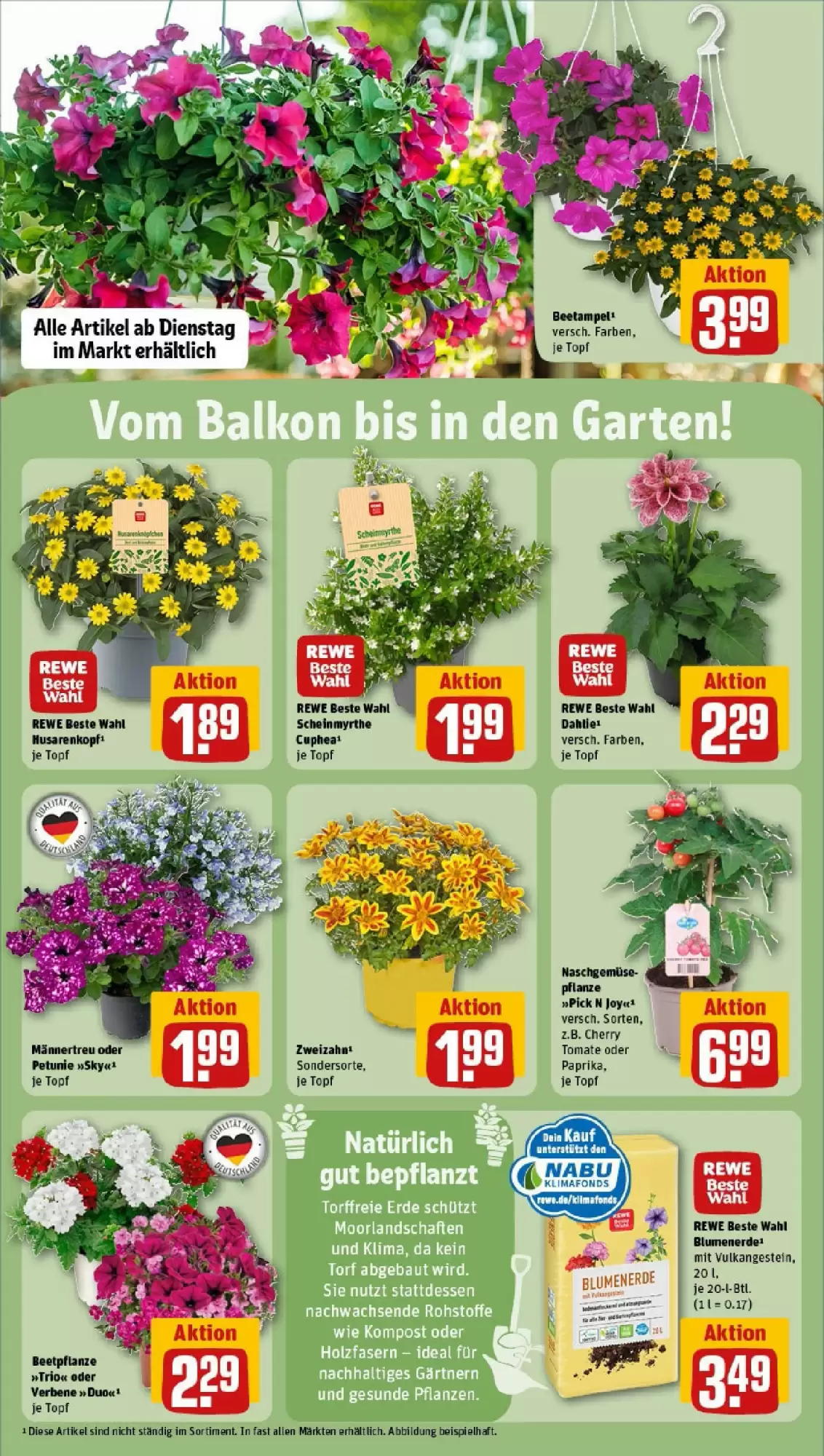 REWE Prospekt woche 21 - 19-05-2025 ( ist gültig von 19-05-2025 bis 25-05-2025) | 29