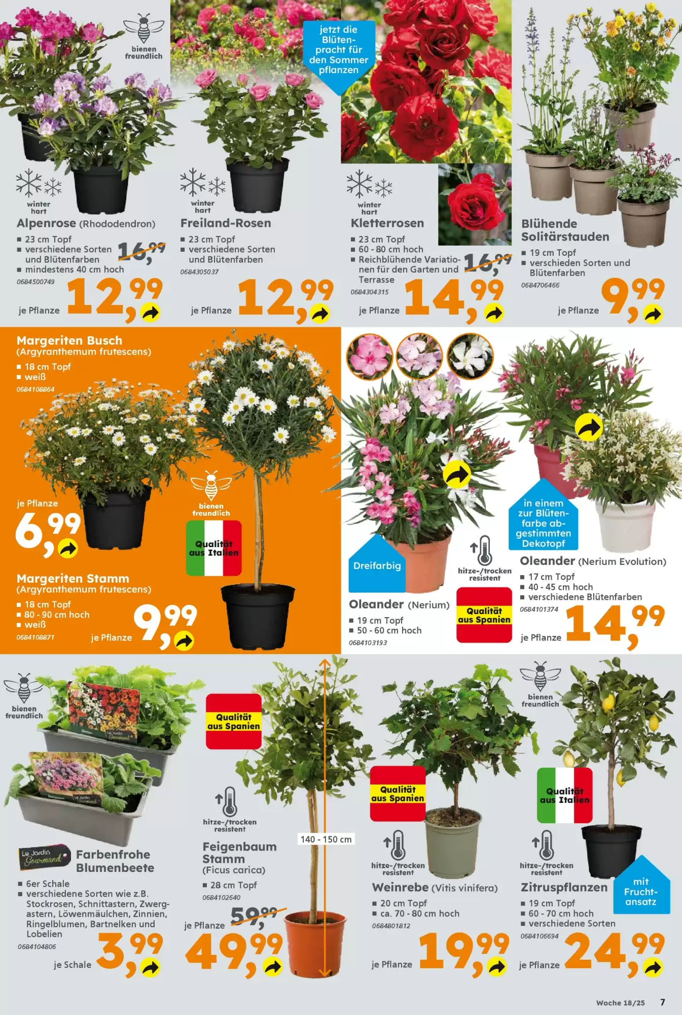Globus Baumarkt Prospekt - 27-04-2025