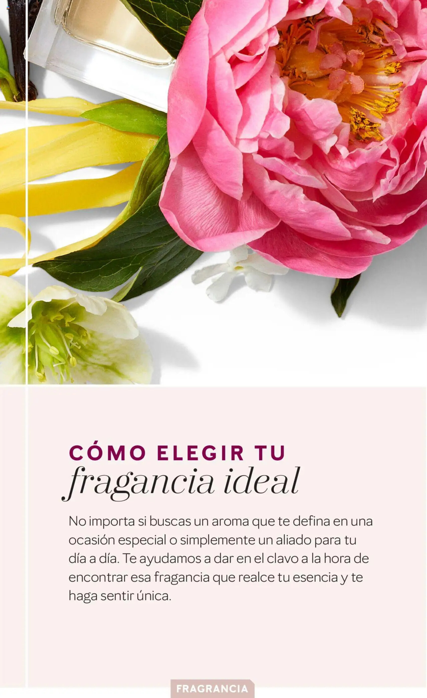Folleto Mary Kay - 11-02-2025