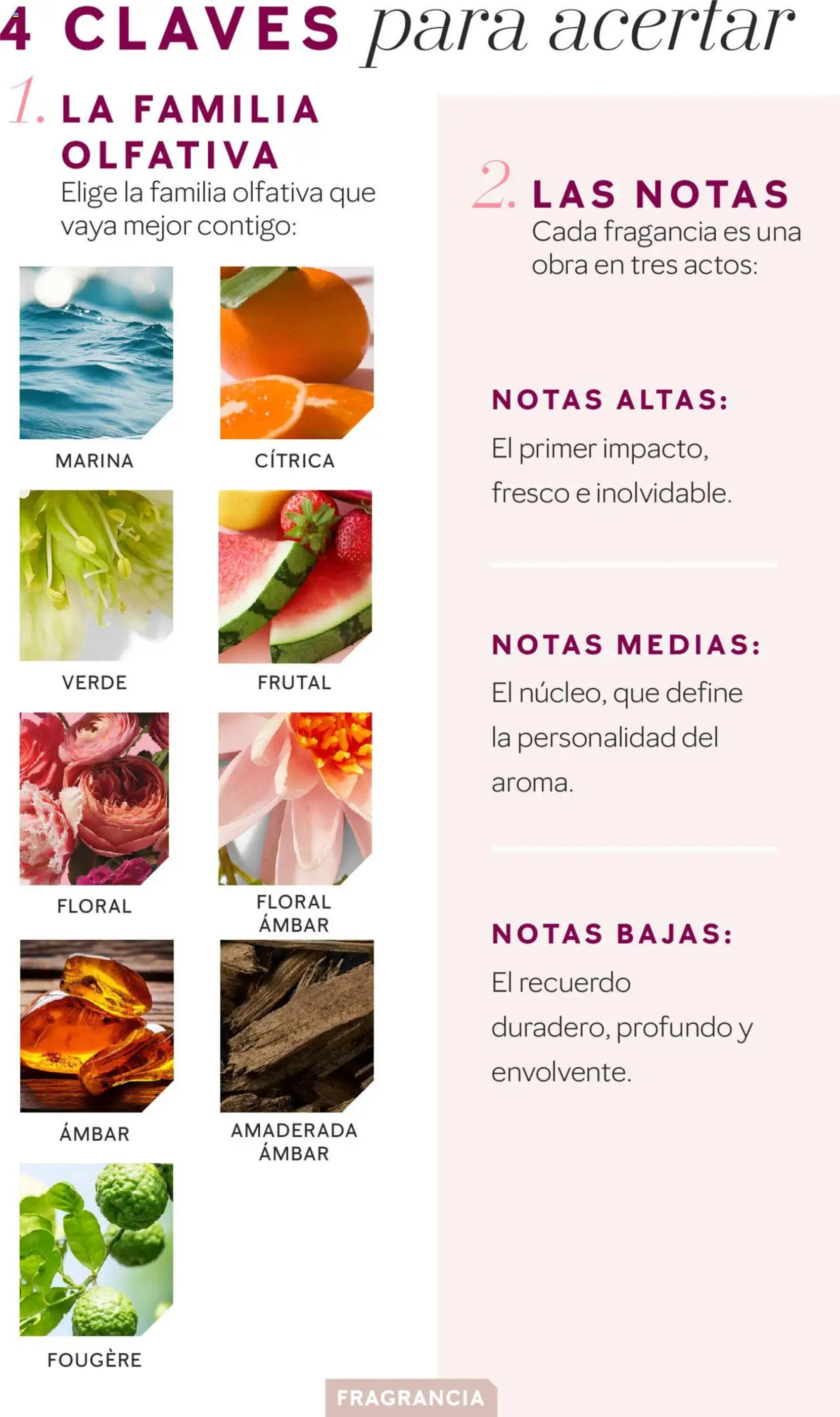 Folleto Mary Kay - 11-02-2025