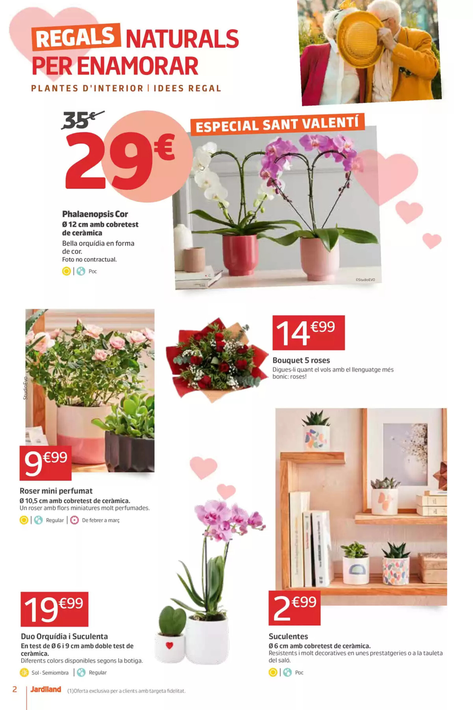 Folleto Jardiland - 06-02-2025