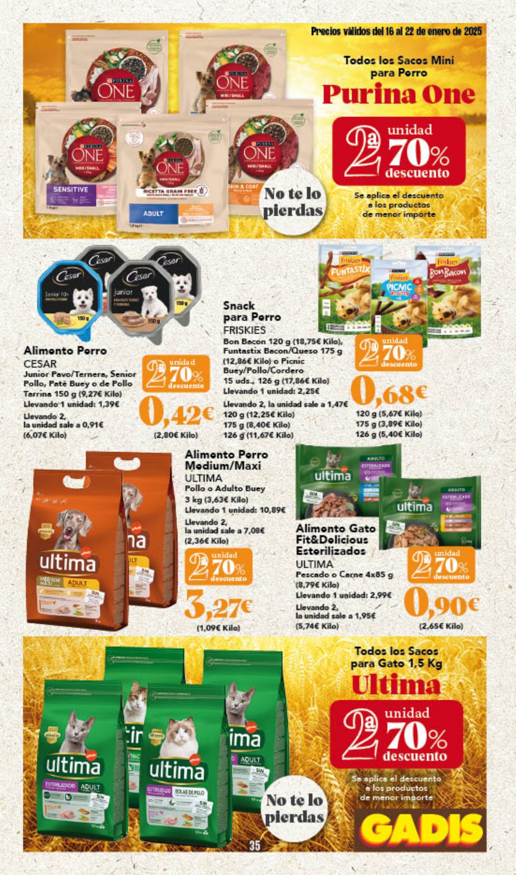 Folleto Gadis semana 3 - 16-01-2025