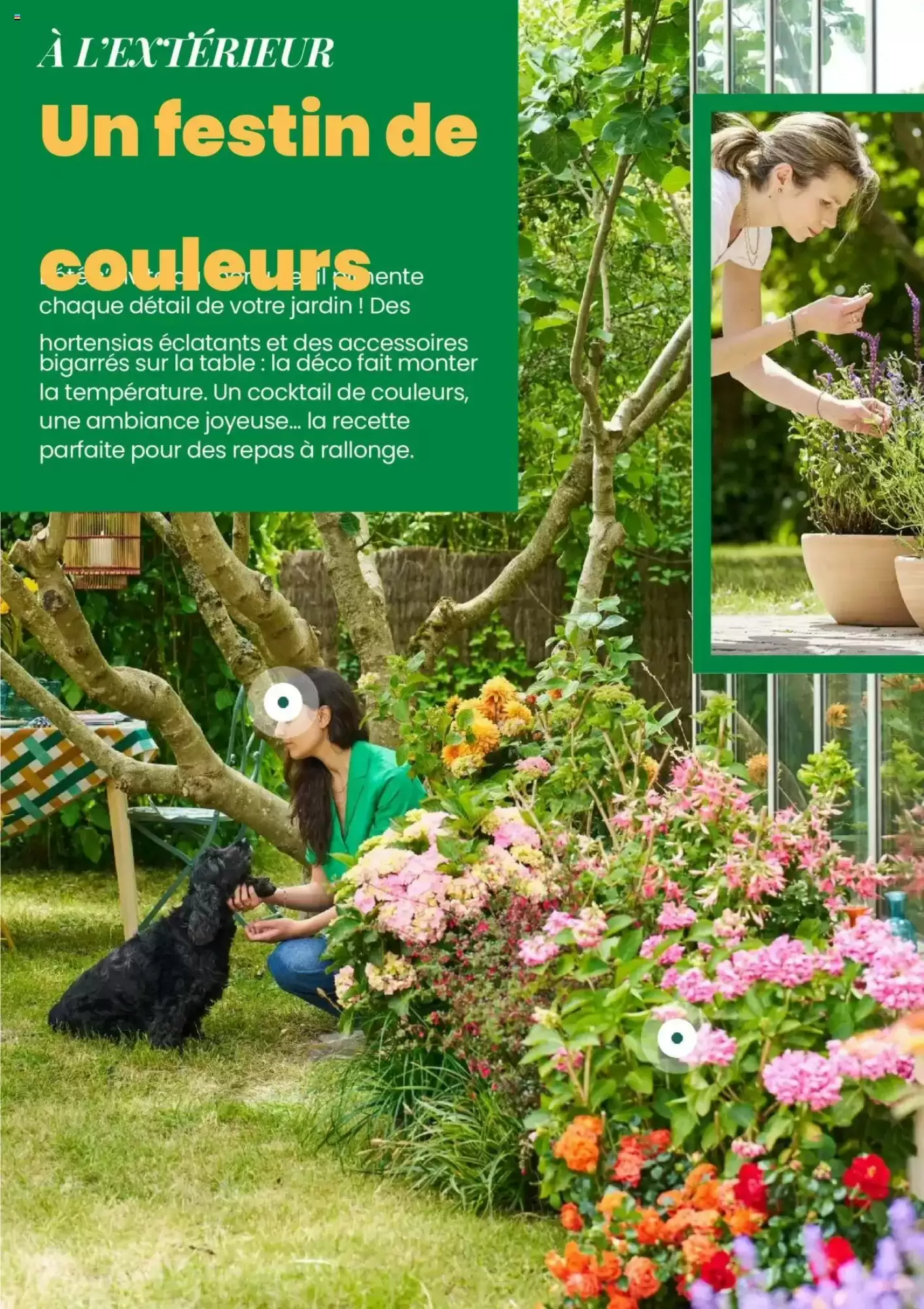 Catalogue Truffaut - 07-05-2025 ( de 07-05-2025 au 31-07-2025)
