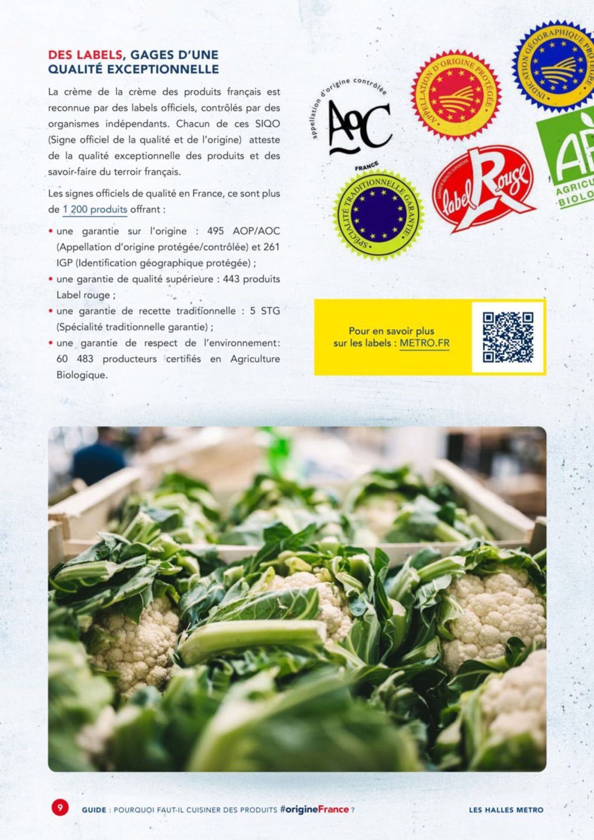 Catalogue METRO - 26-02-2025