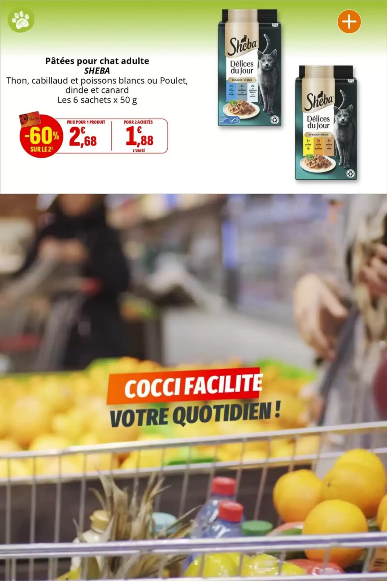 Catalogue Coccinelle Express - 07-05-2025 ( de 07-05-2025 au 18-05-2025)