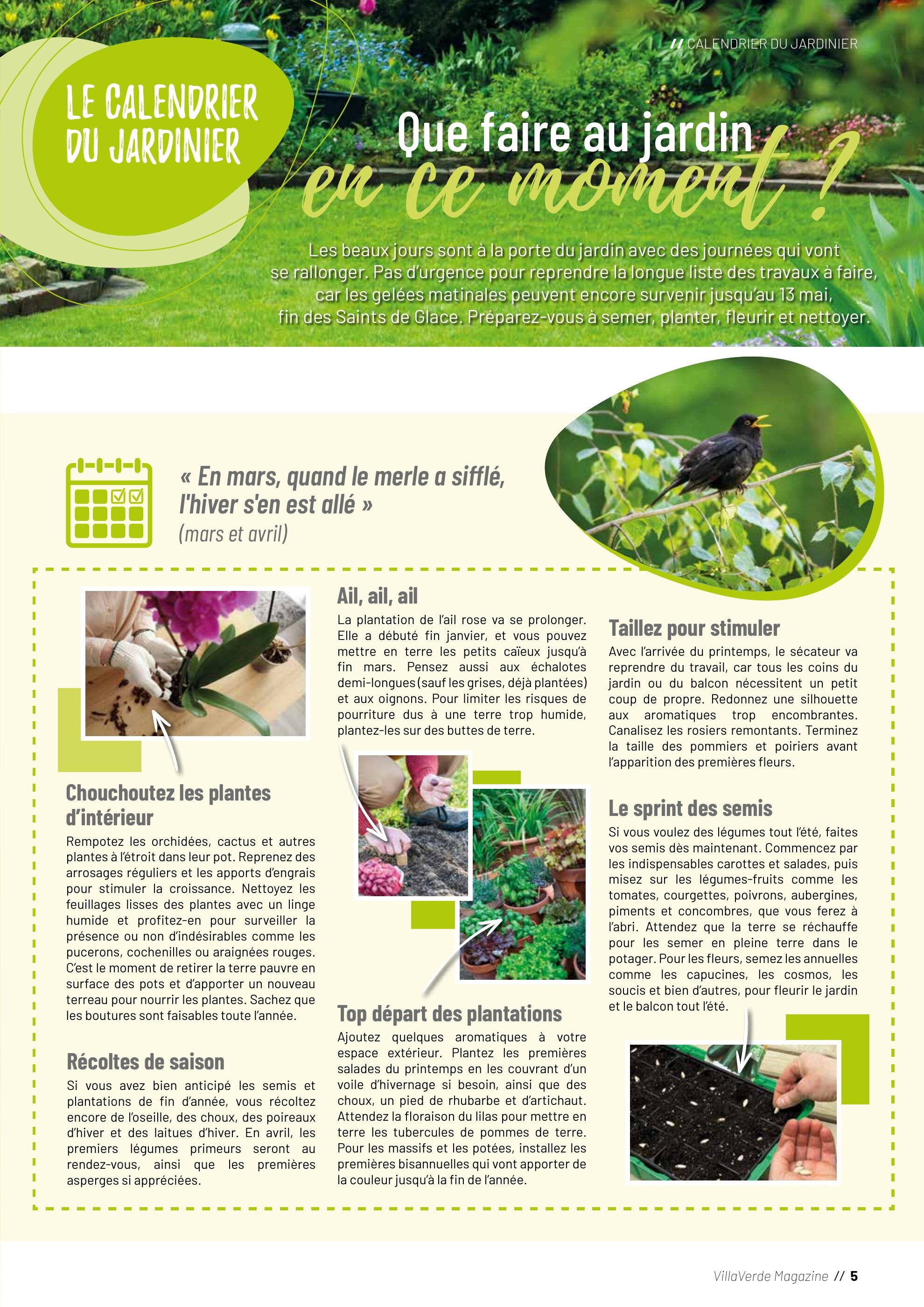 Catalogue VillaVerde - 04-03-2025