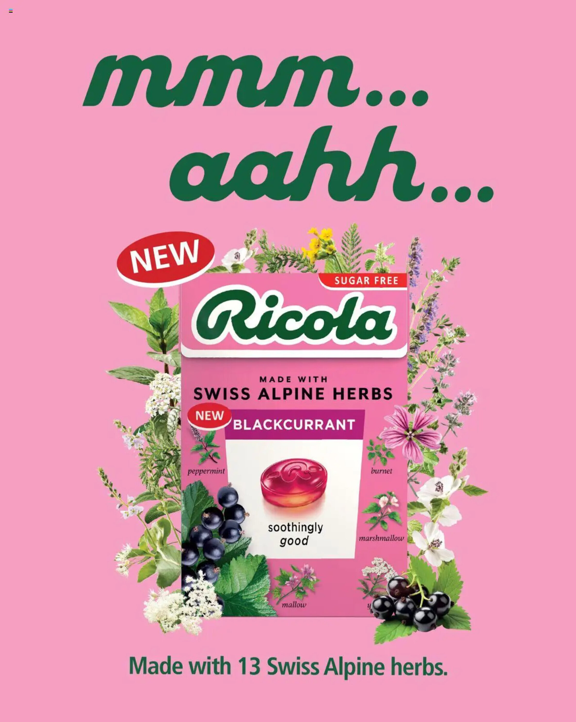 Sainsbury's leaflet - 02-01-2025