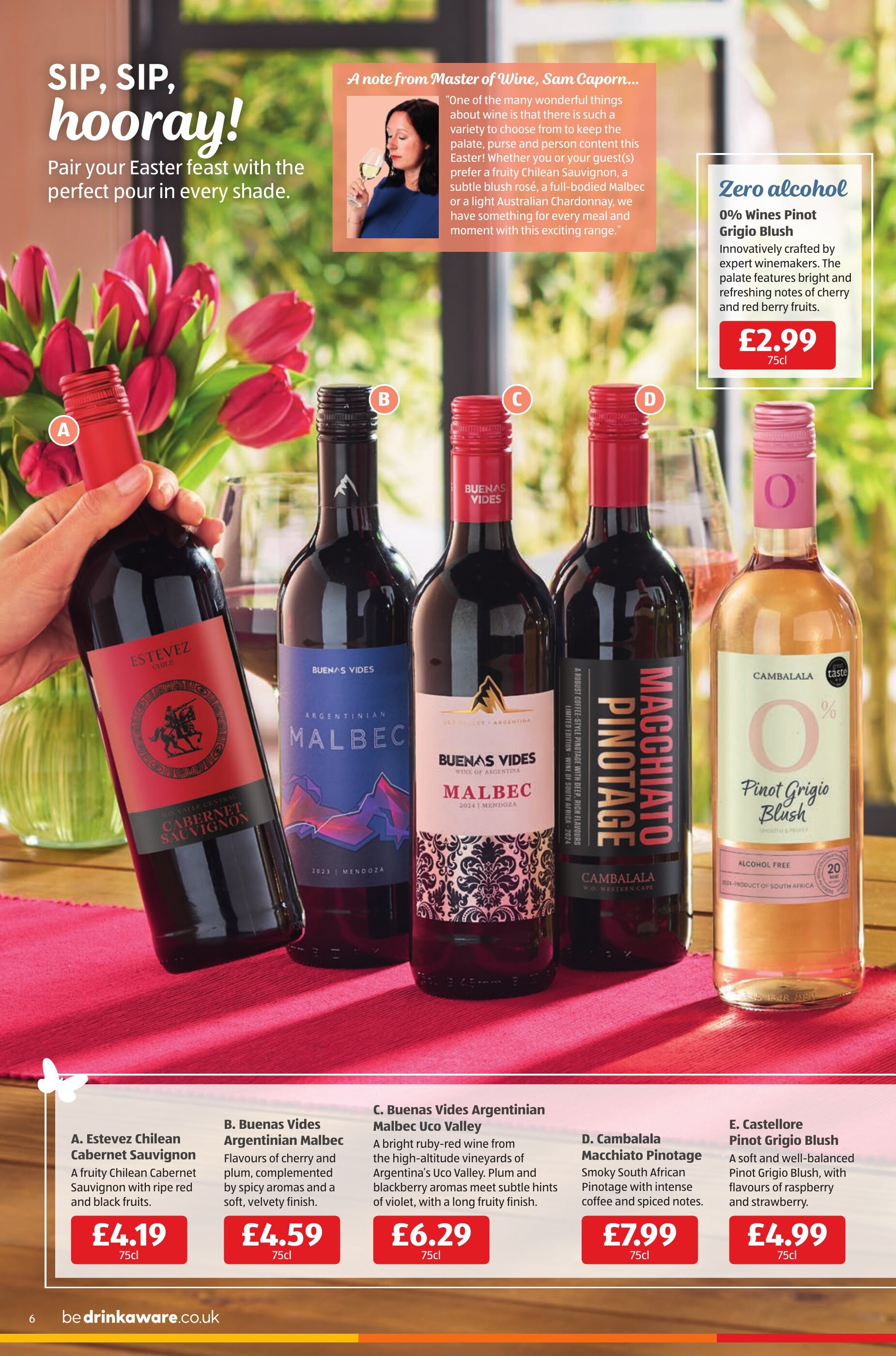 Aldi leaflet - 10-04-2025