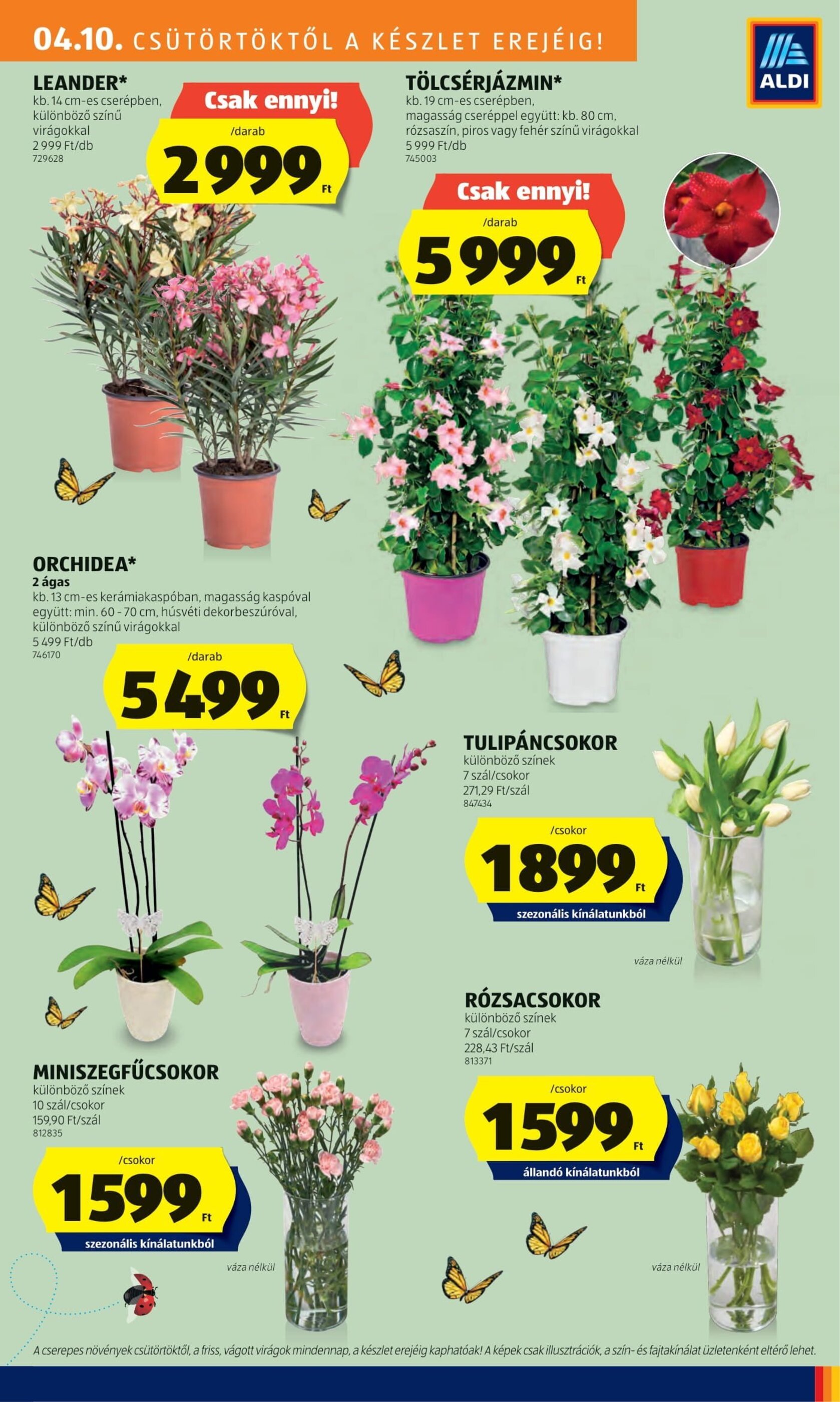 ALDI akciós újság hét 15 - 10-04-2025