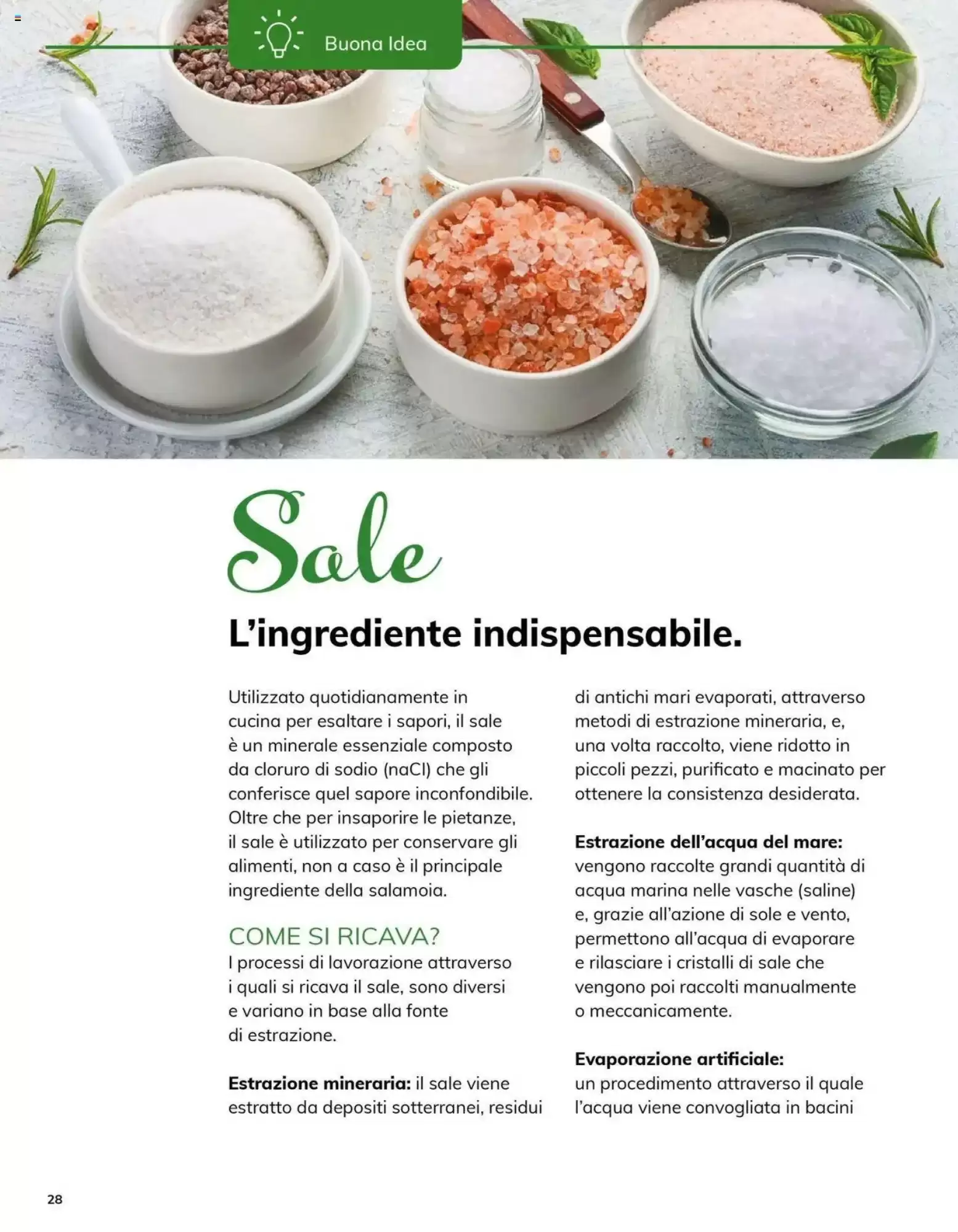 Volantino Basko - 08-05-2025