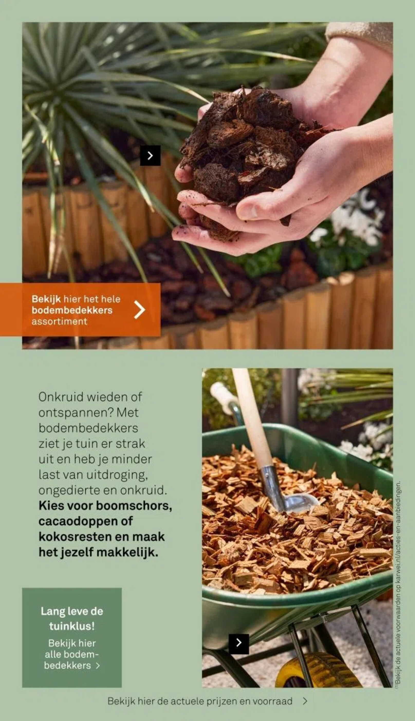 Karwei folder | Tuinklus - 03-03-2025 ( is geldig van 03-03-2025 tot en met 31-12-2025)