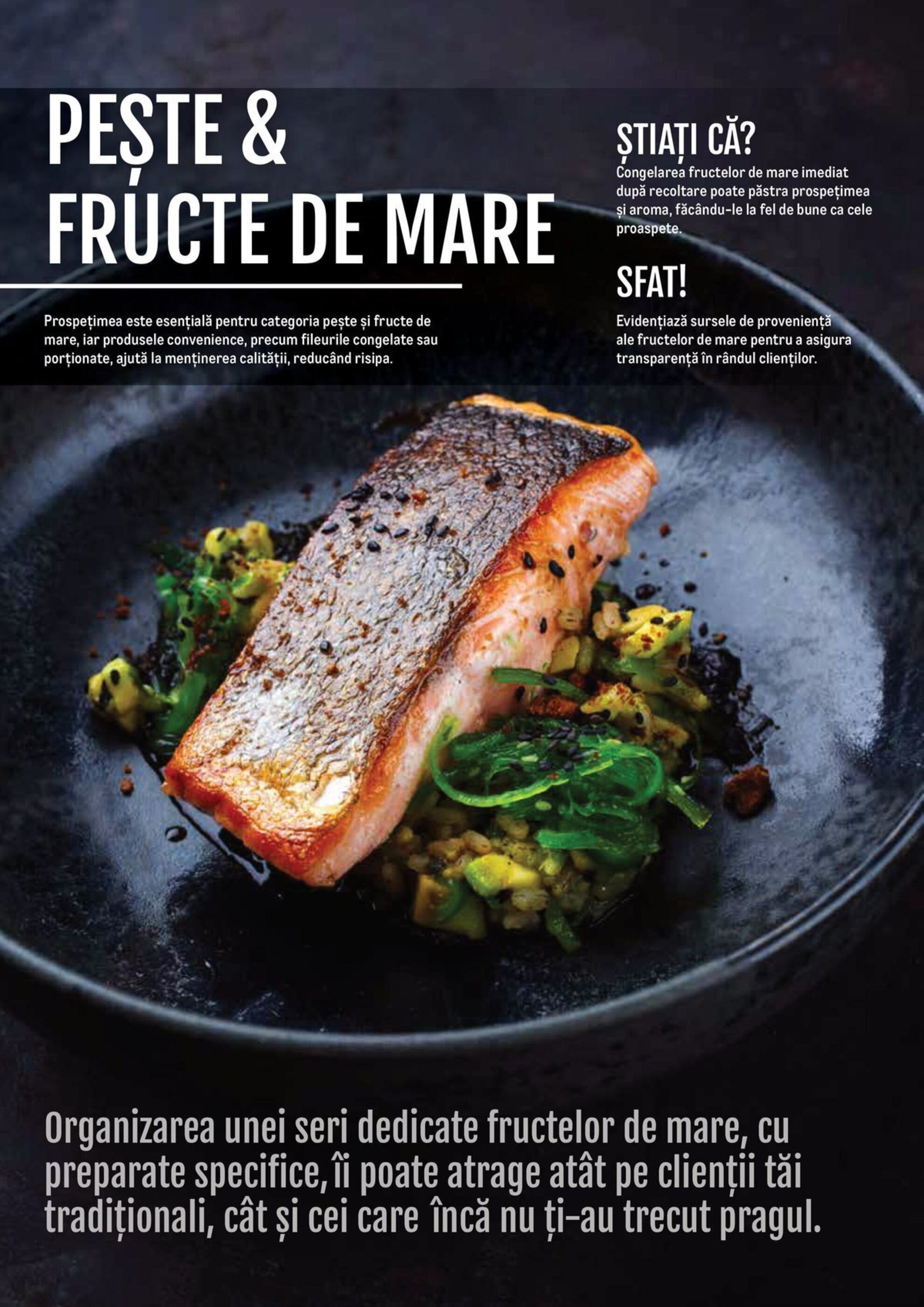 Catalog Metro - 09-04-2025